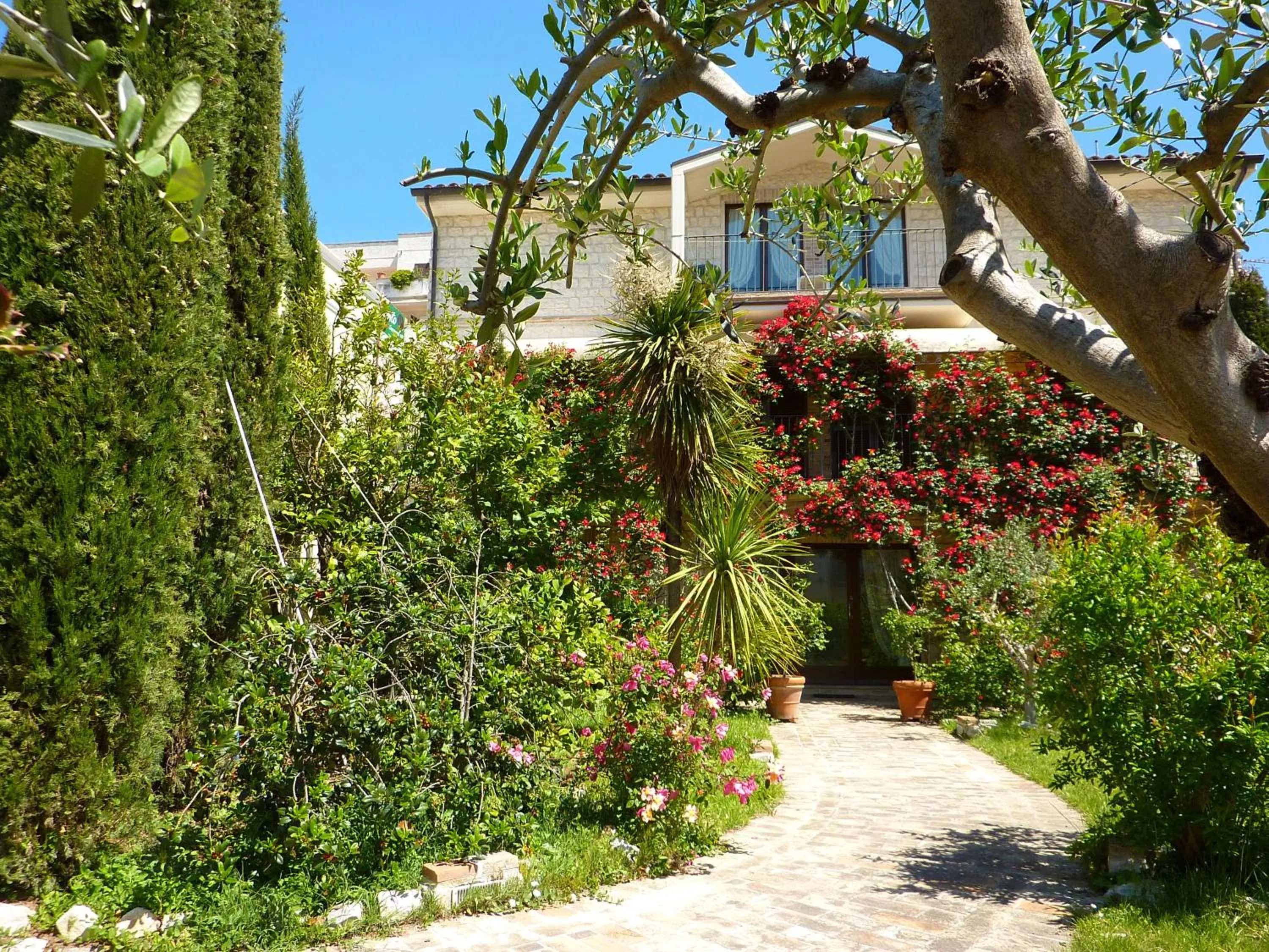 Property building in Velia Mare