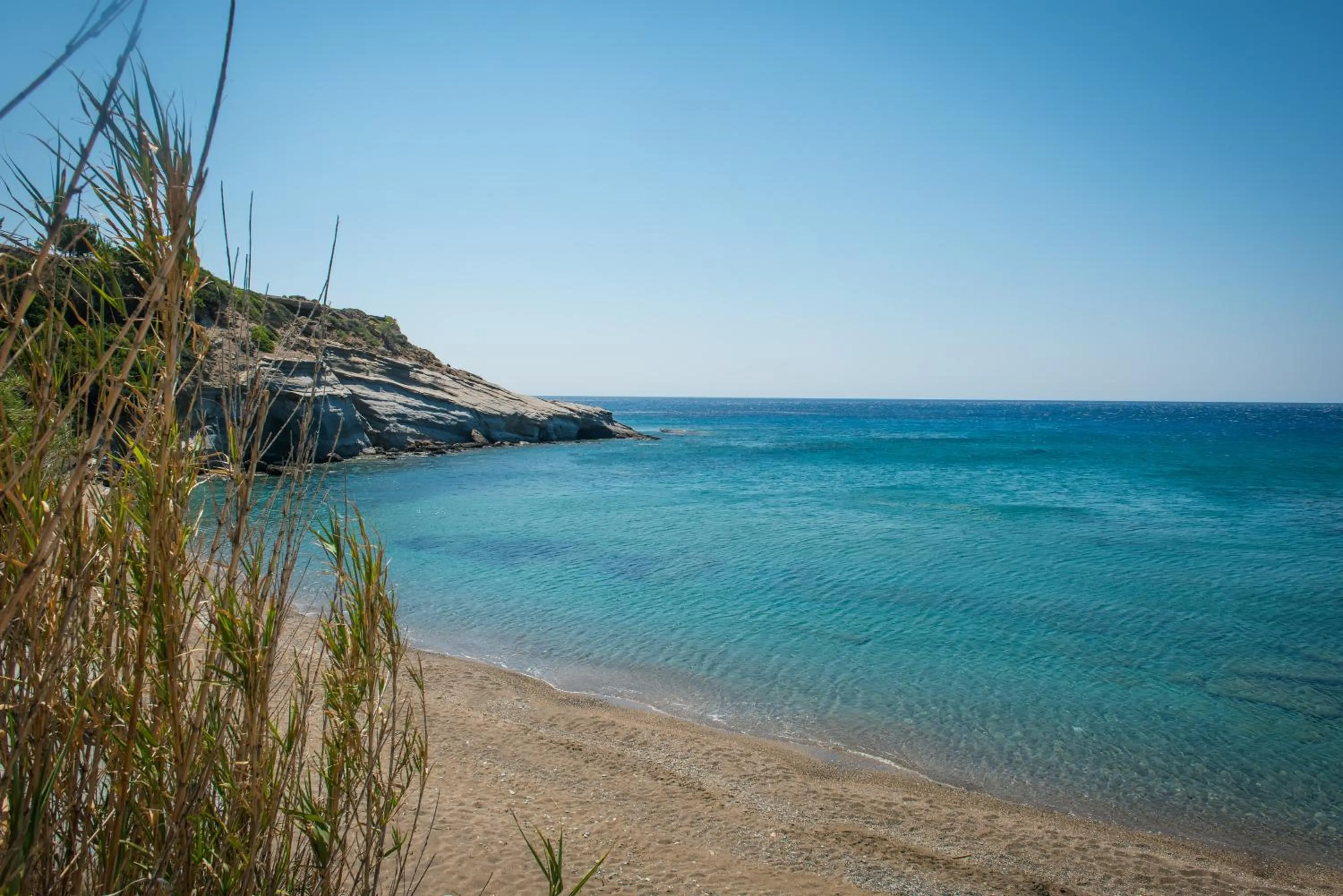 Natural landscape in Elena's Beach Garden by Estia