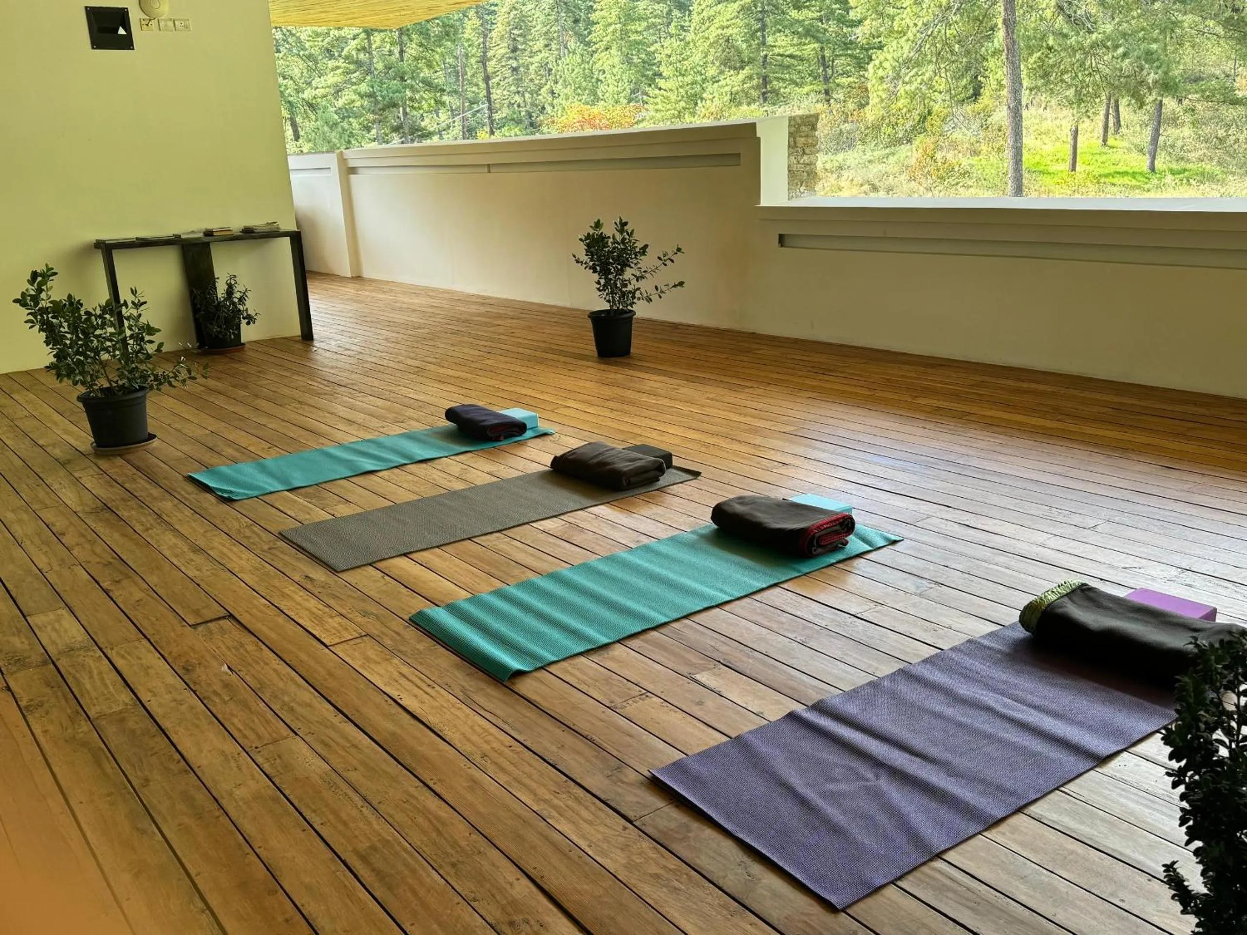 Fitness centre/facilities in Zhiwaling Ascent