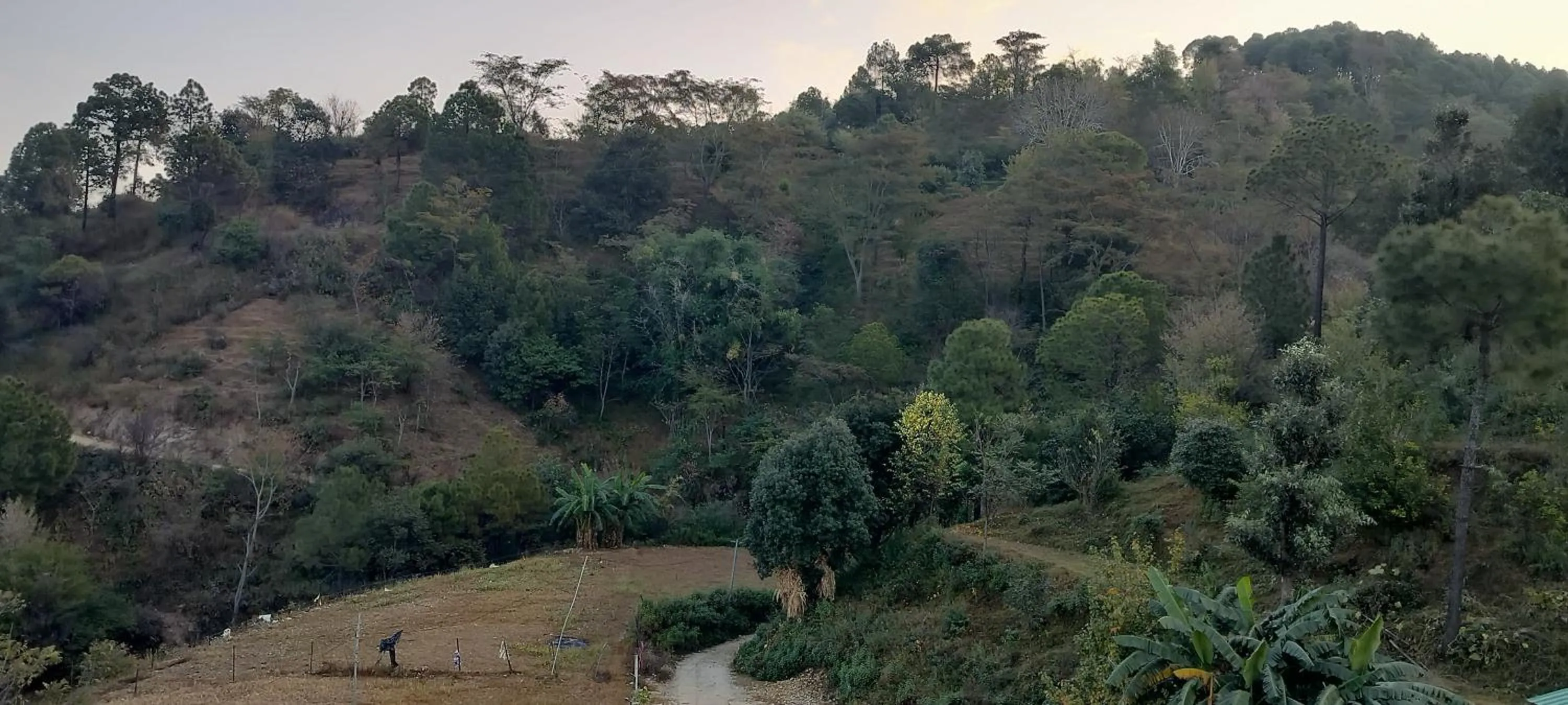 Mountain view in Hotel Rewalsar Heights