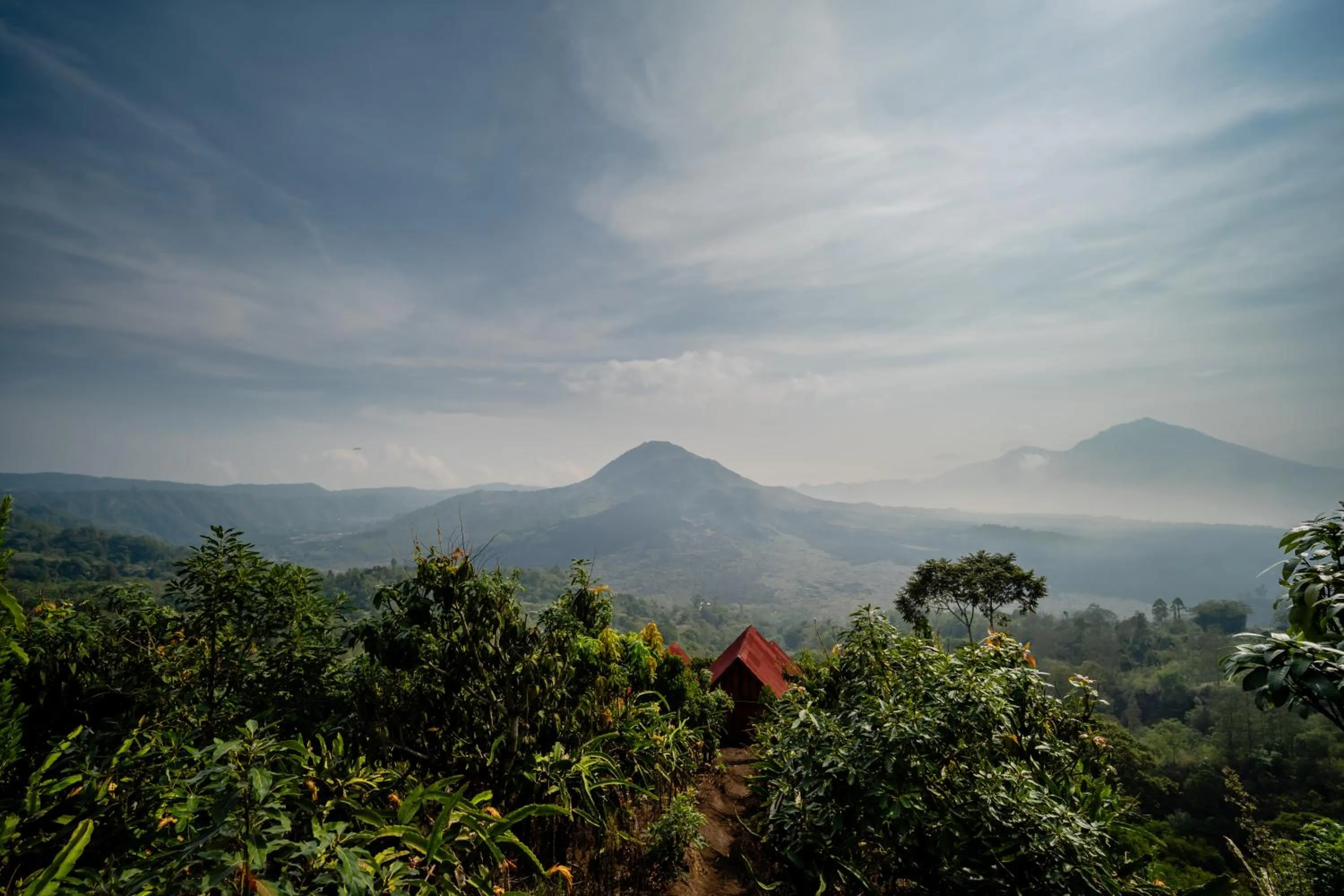 View (from property/room) in Pondok Devana Kintamani