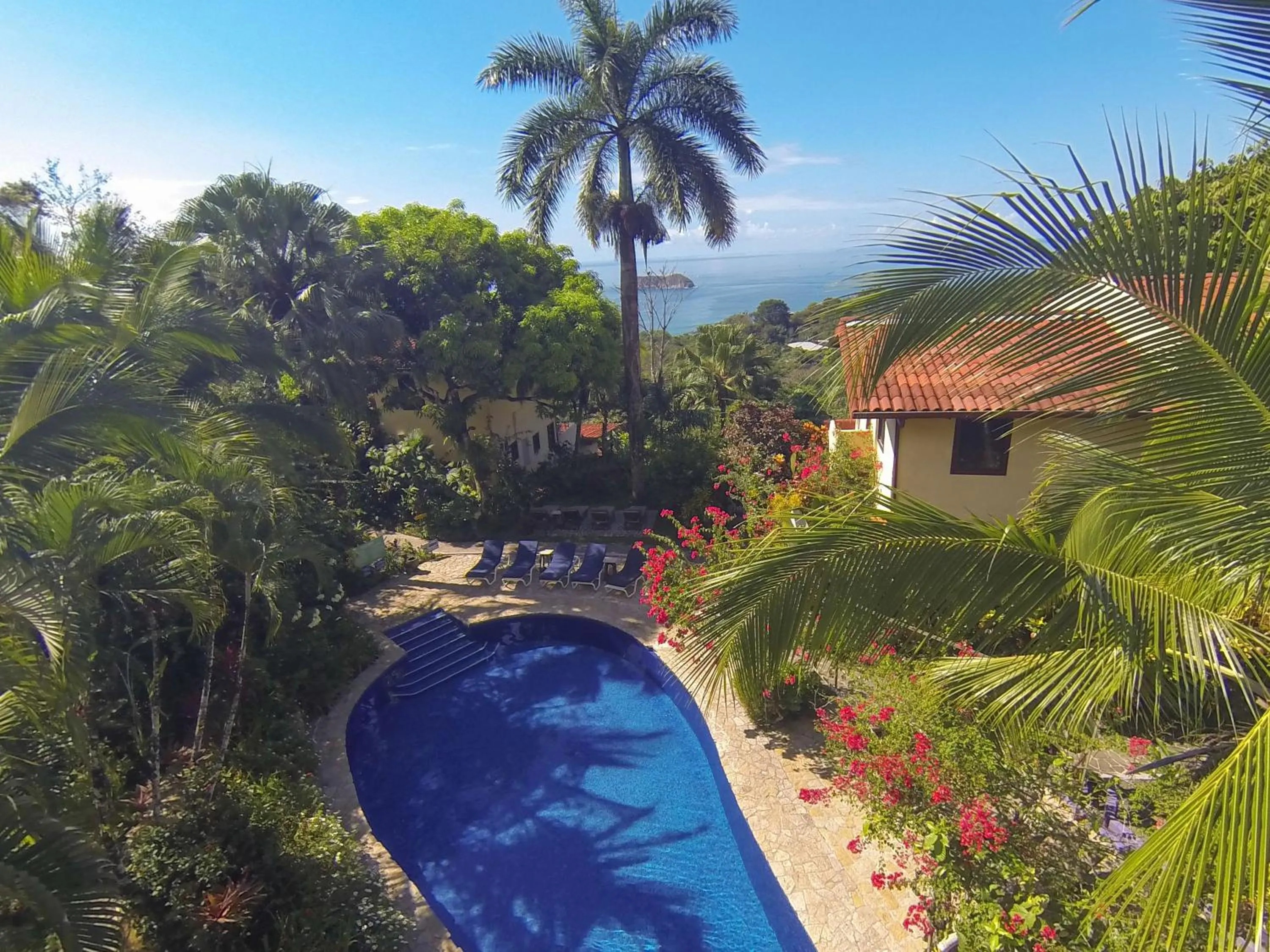 Garden in Hotel Villas Nicolas - Adults Only