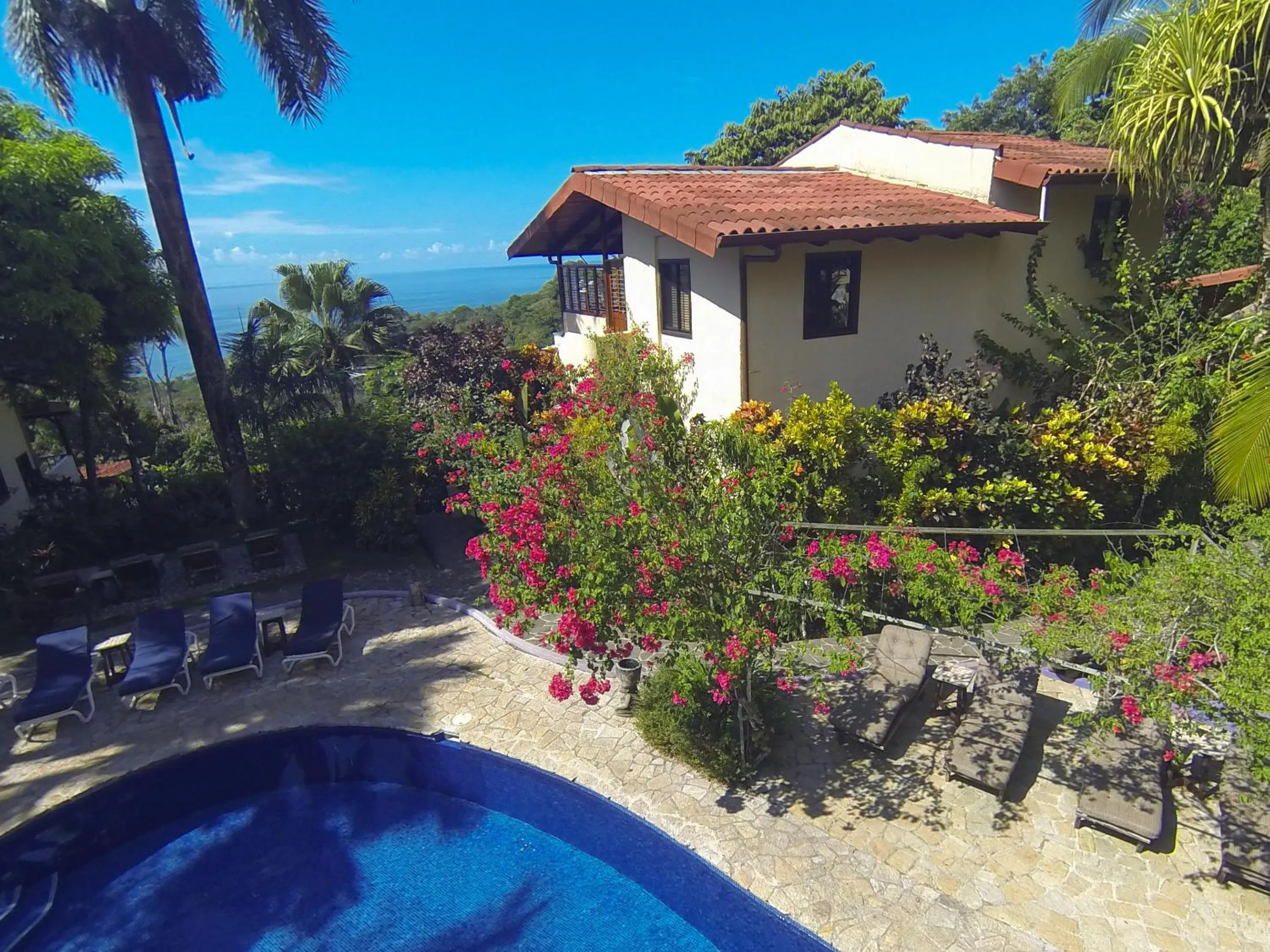 Garden view in Hotel Villas Nicolas - Adults Only