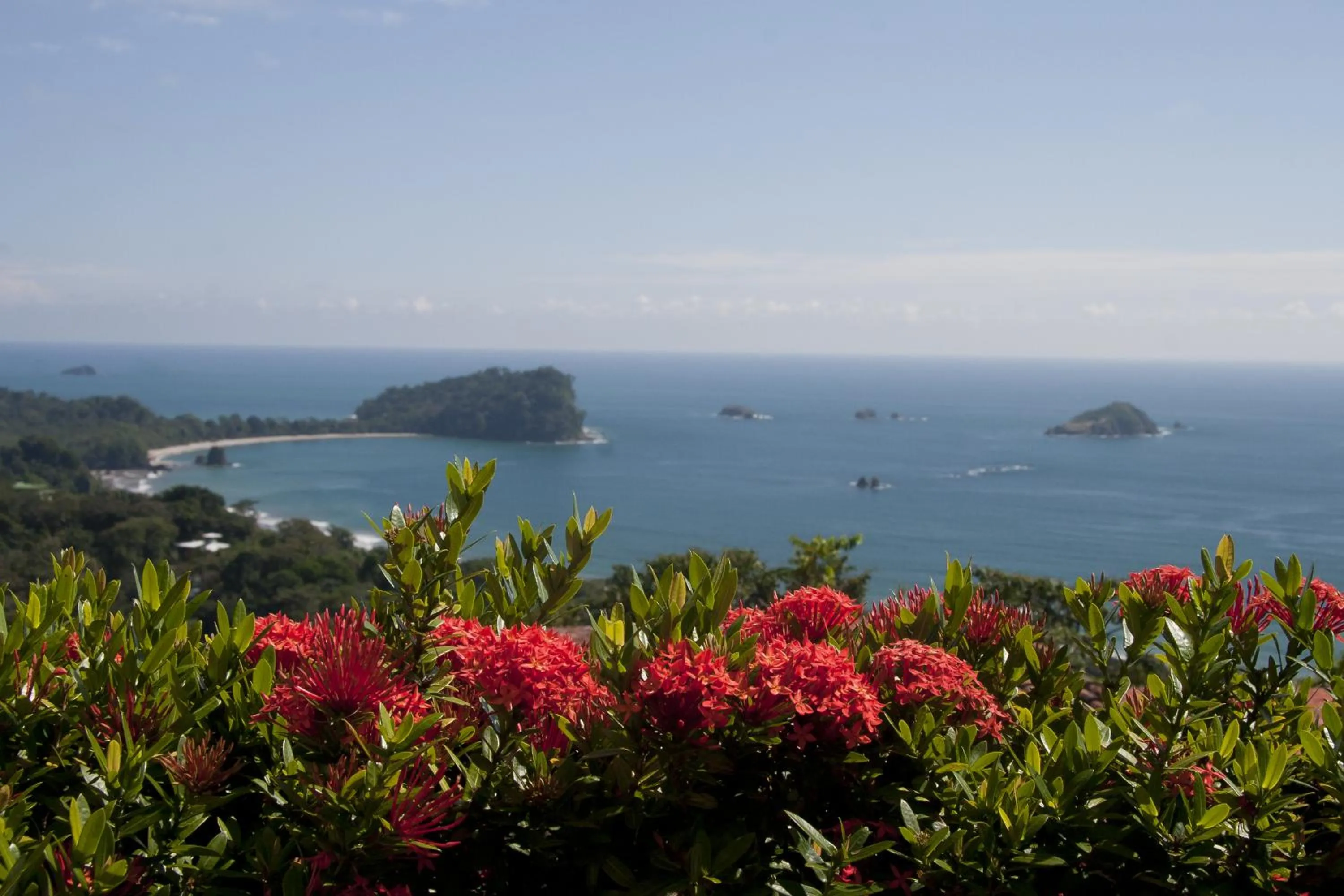 Area and facilities in Hotel Villas Nicolas - Adults Only