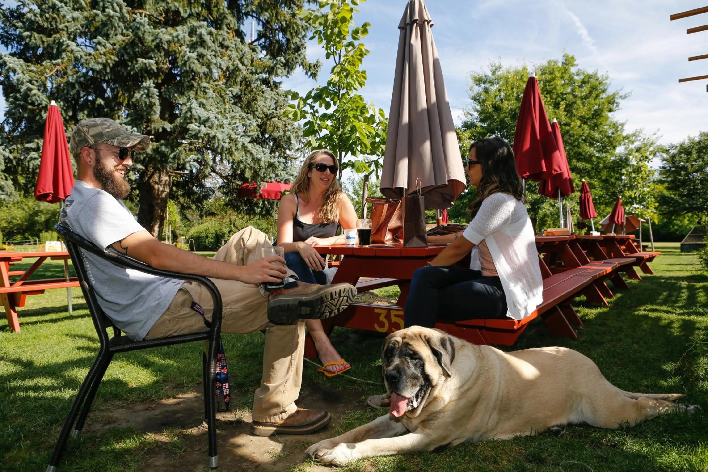 Pets in McMenamins Grand Lodge