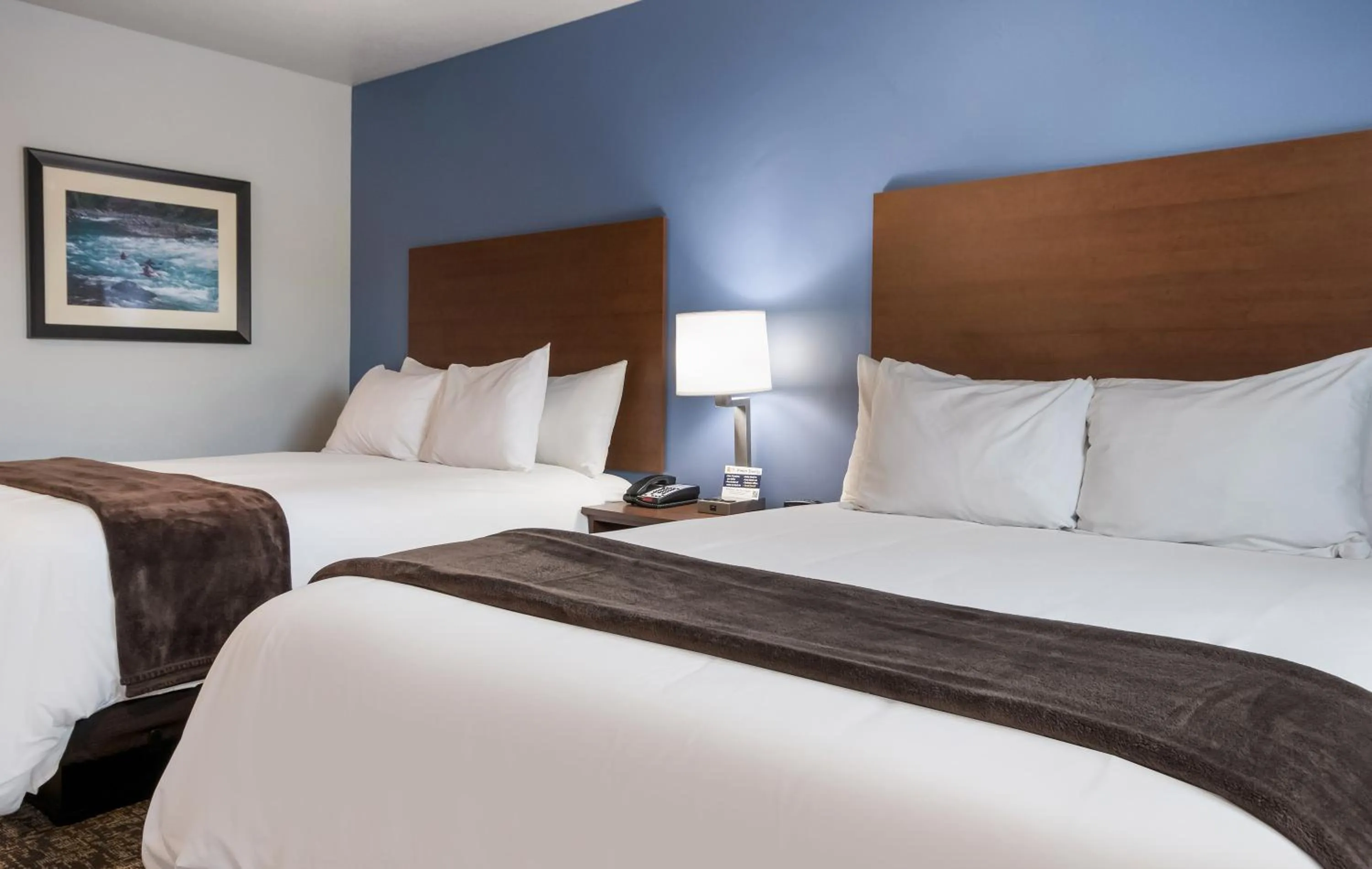 Bed in My Place Hotel-Bozeman, MT