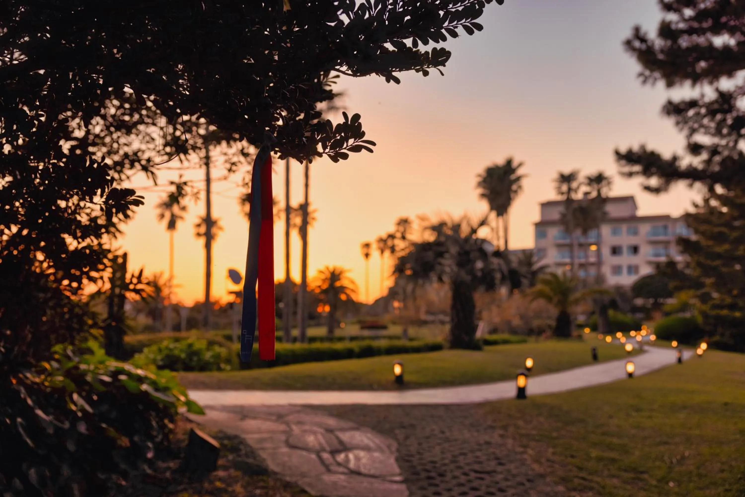 Garden in Kensington Resort Seogwipo