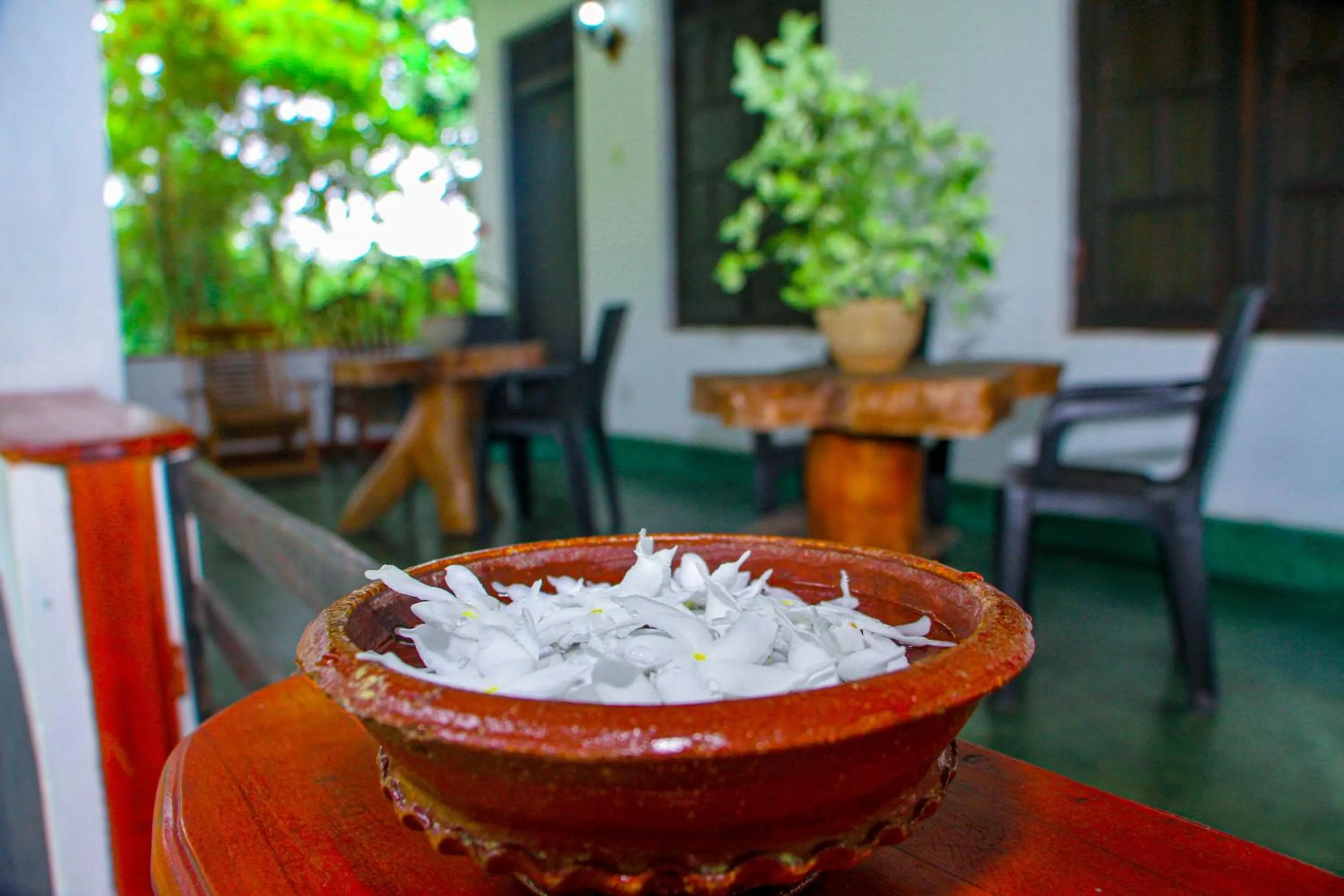 Day in Banana Rest Sigiriya