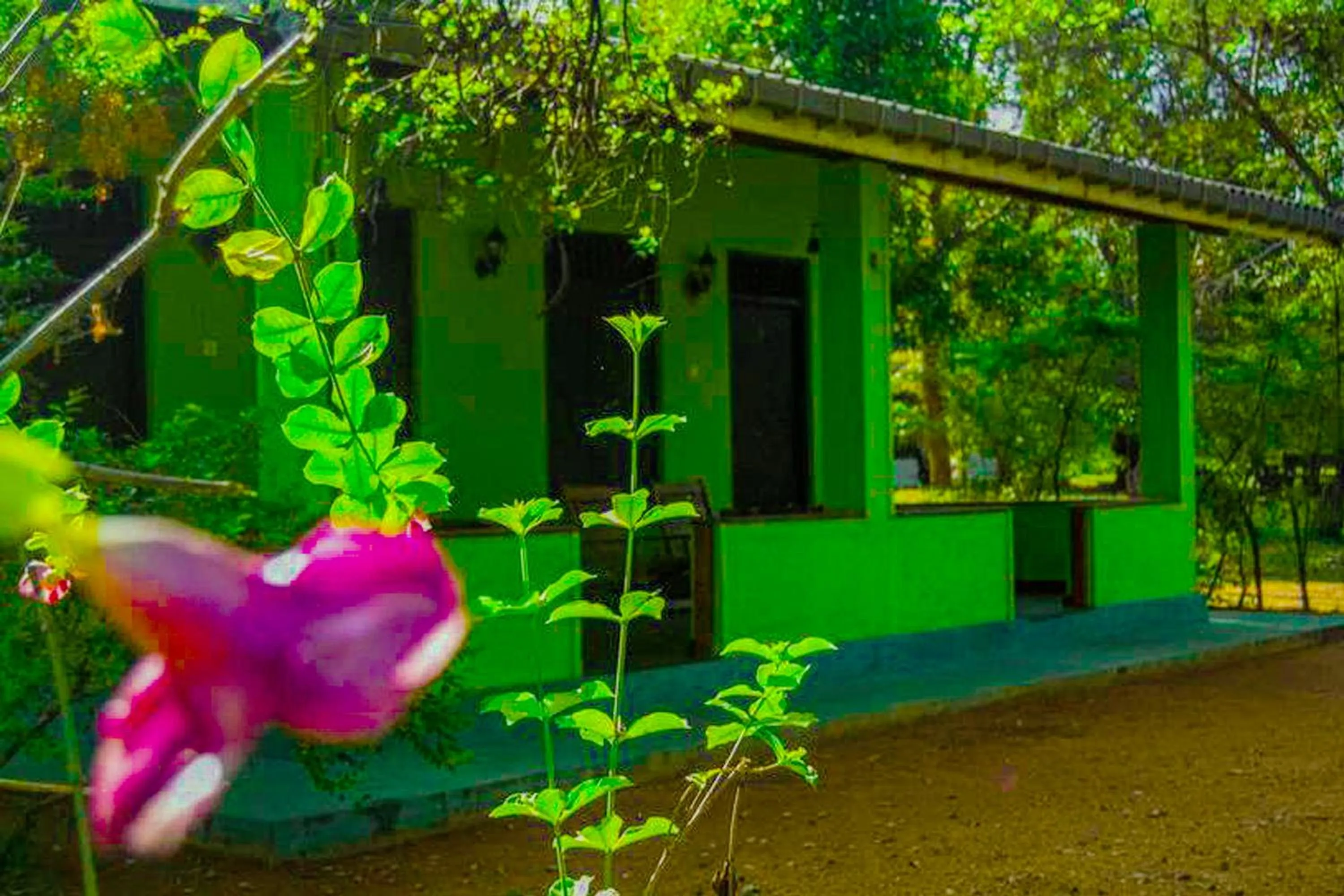 Property building in Banana Rest Sigiriya