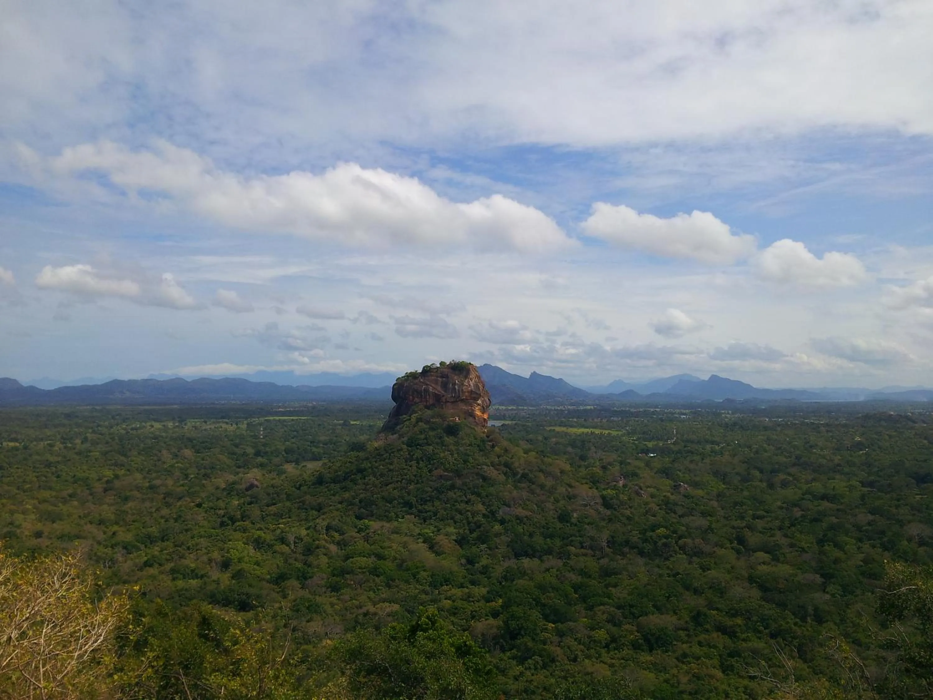 Natural landscape in Banana Rest Sigiriya
