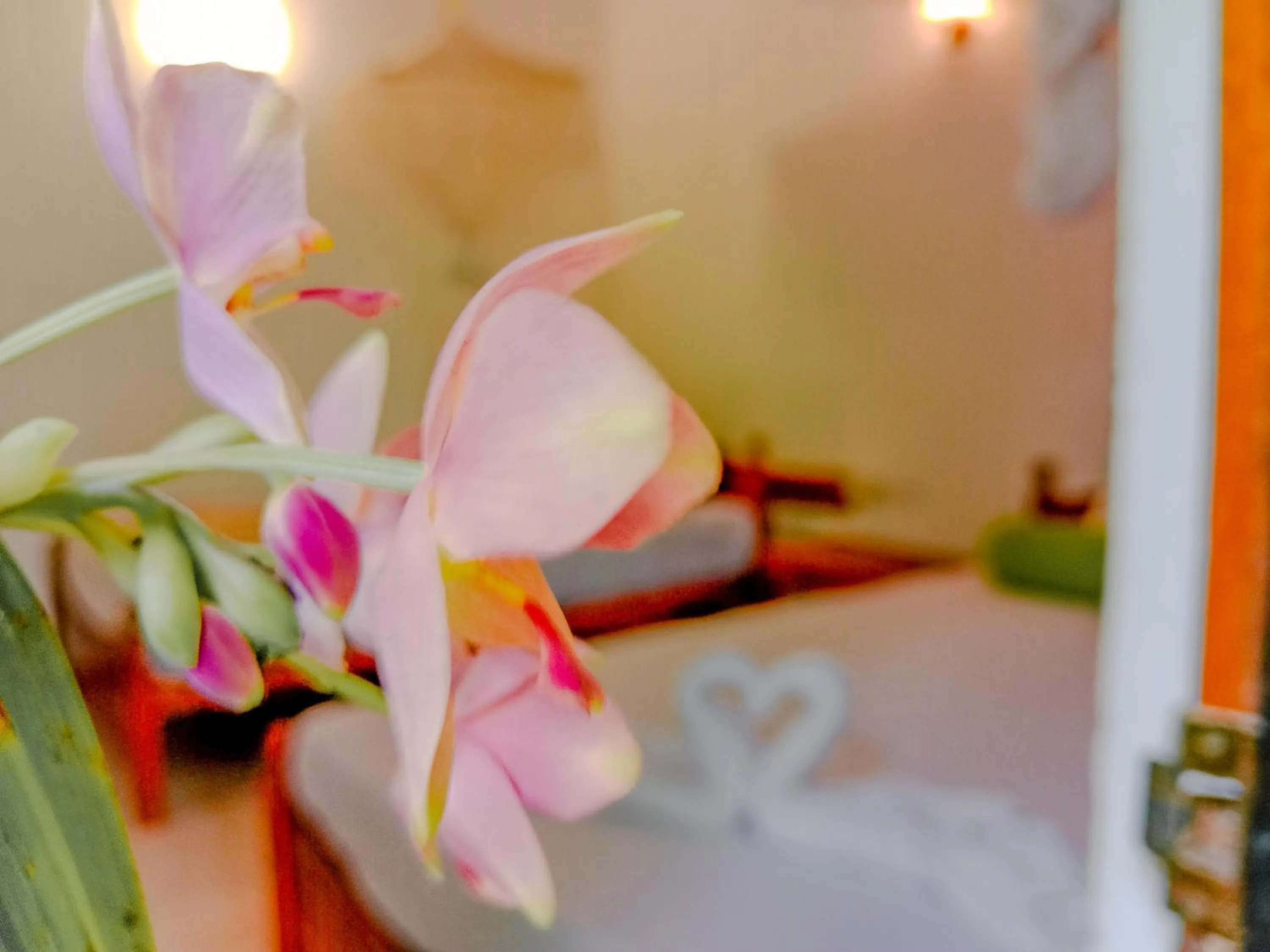 Bed in Banana Rest Sigiriya