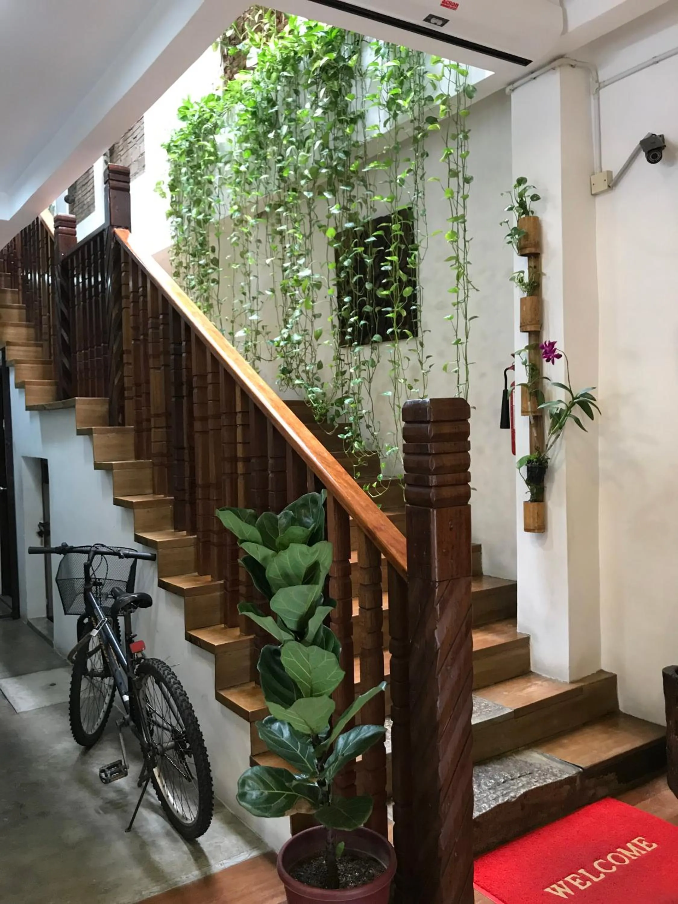 Lobby or reception in Palm Mansion Boutique Suites