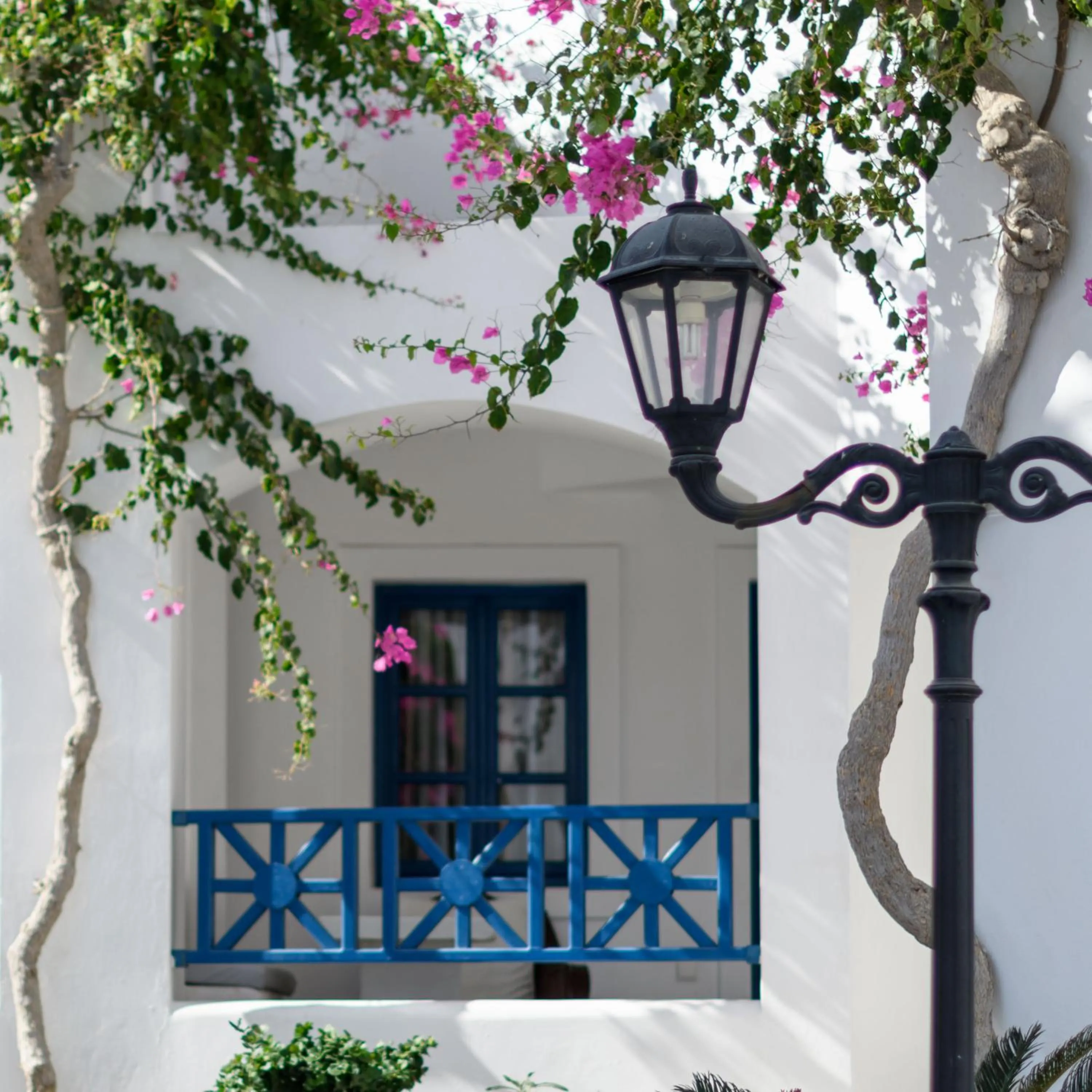 Balcony/Terrace in Veggera Beach Hotel