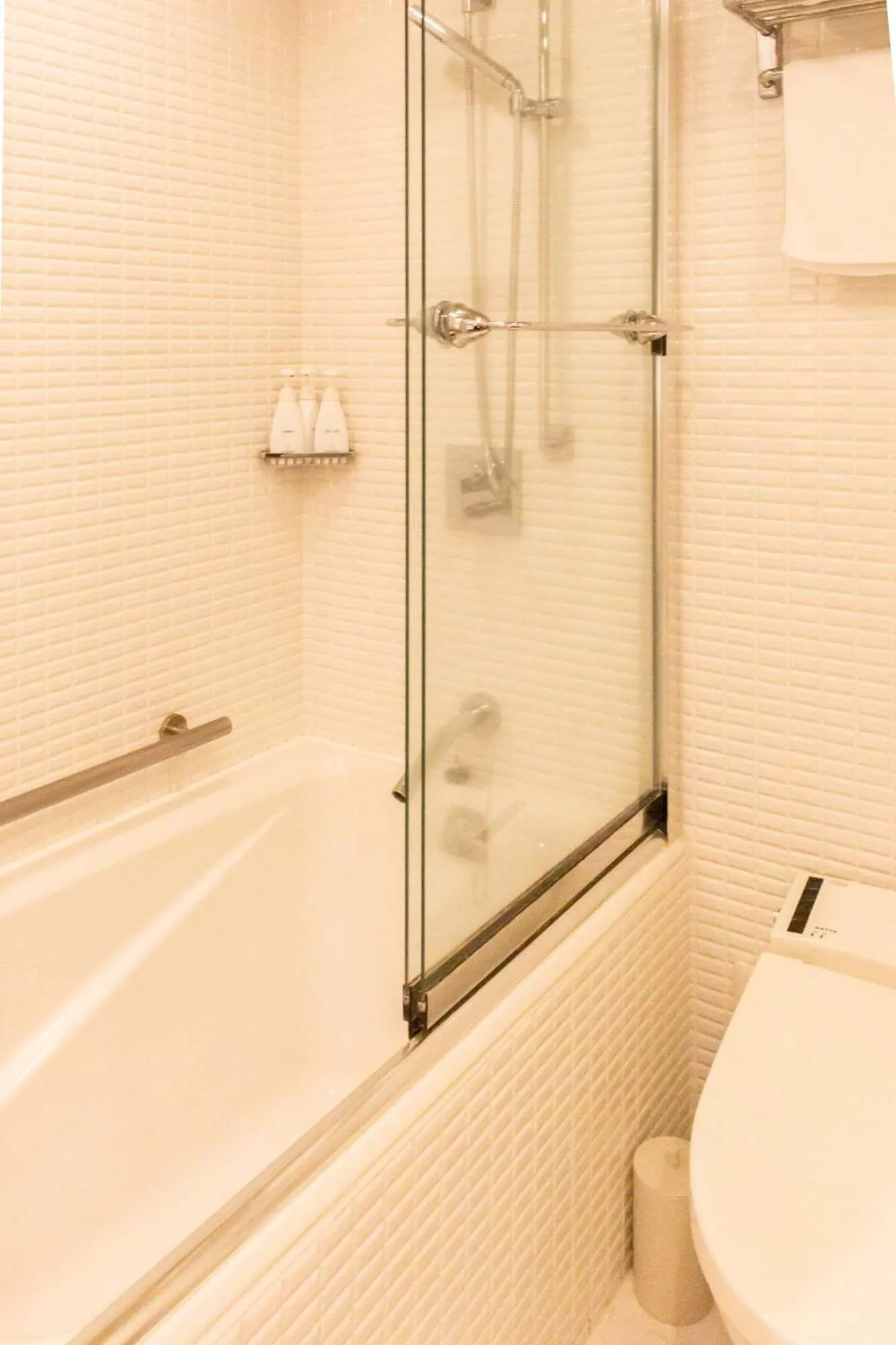 Bathroom in Hotel Massimo Mishima