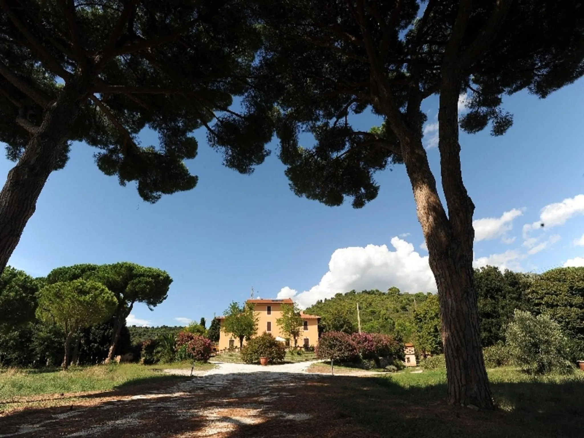 Garden view in Villa Boldrini b&b