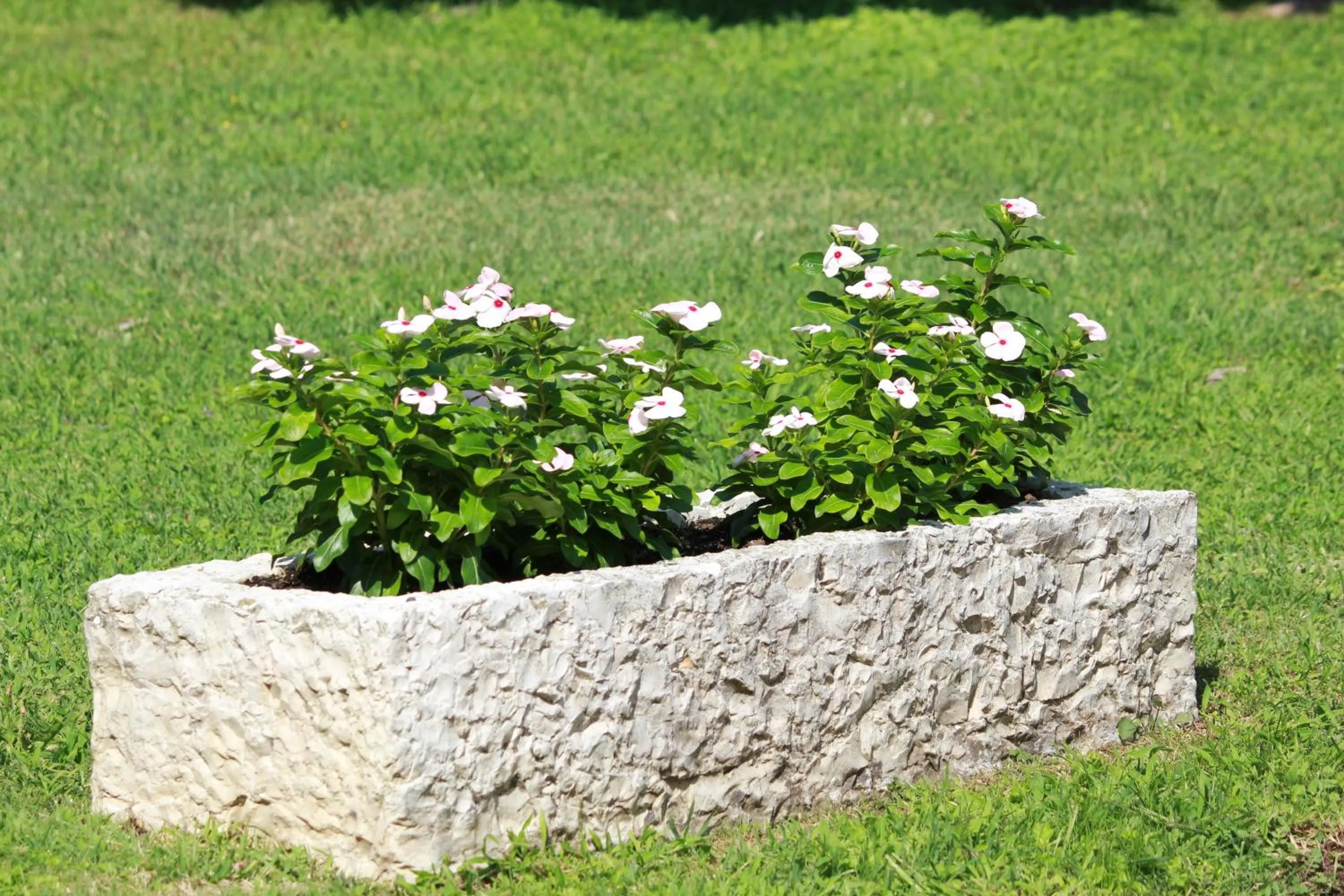 Garden in B&B La Grola