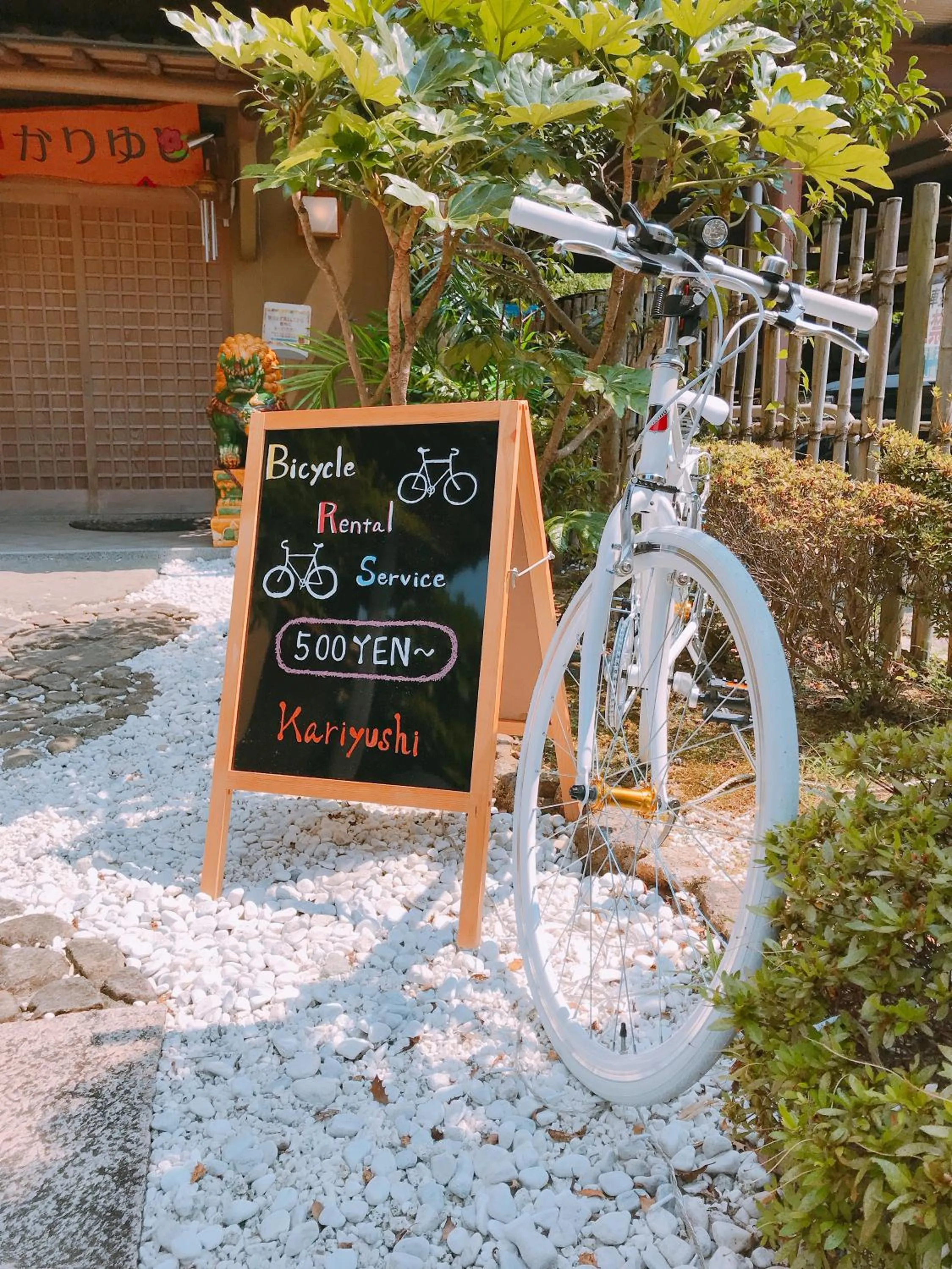 Cycling in Okinawa Minshuku Kariyushi