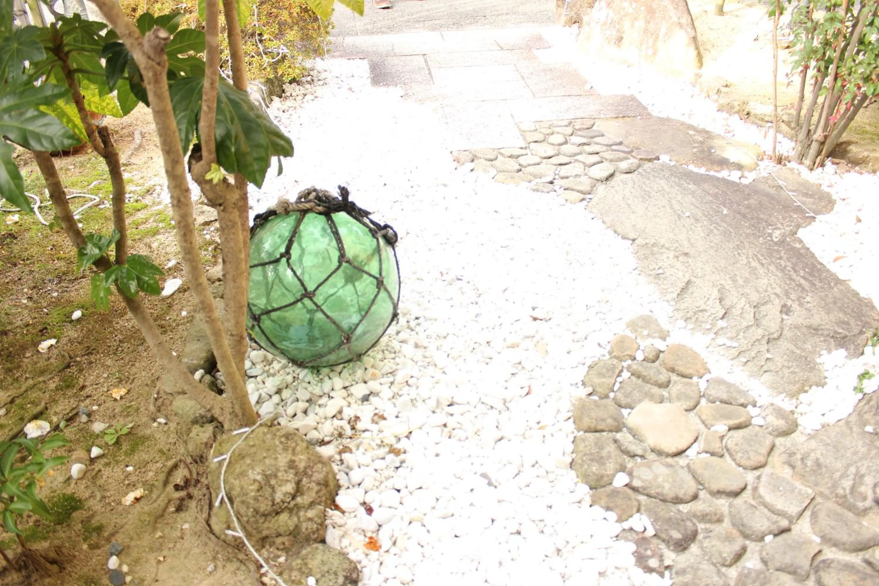 Garden in Okinawa Minshuku Kariyushi