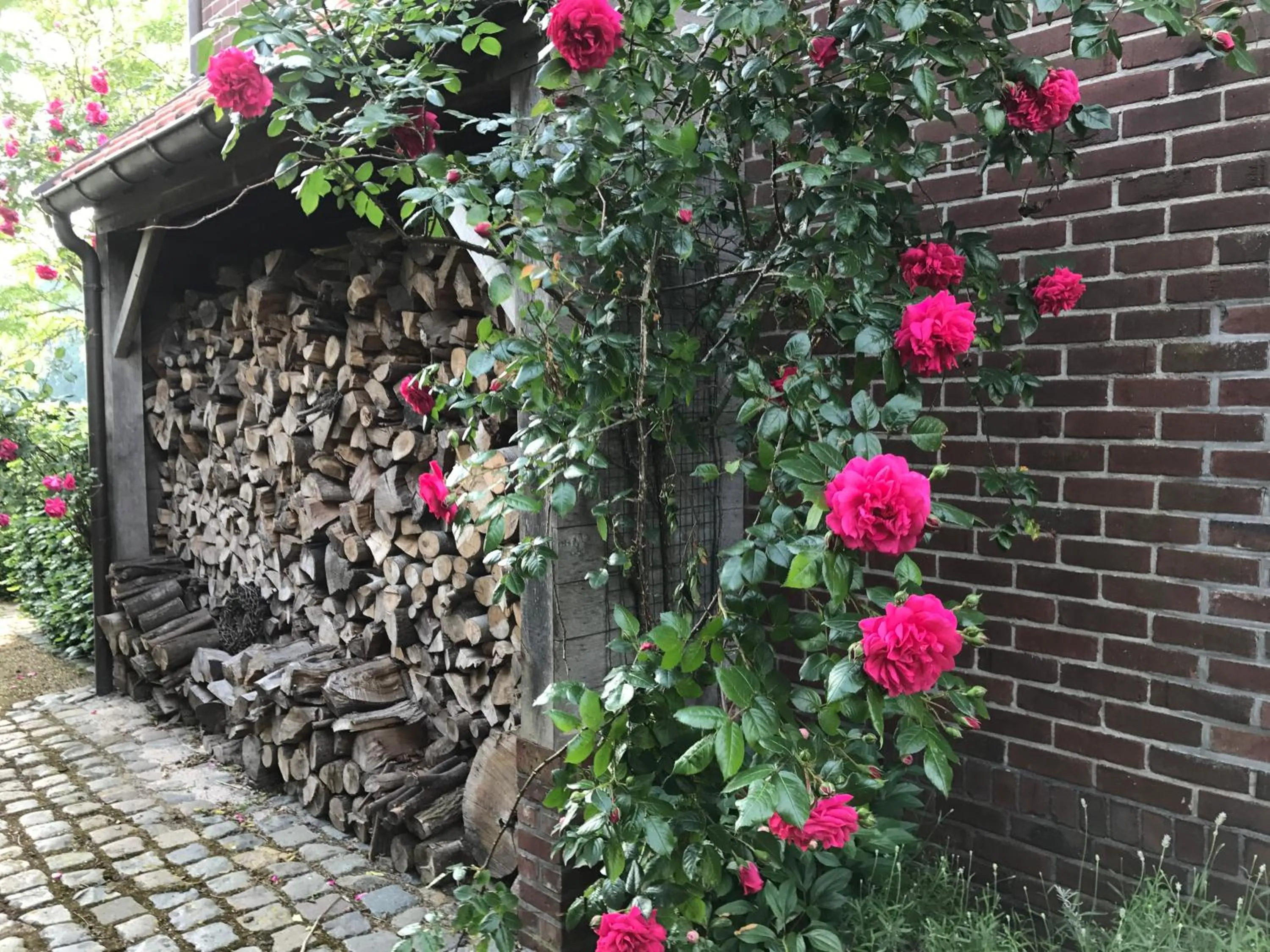 B&B Het Welthof