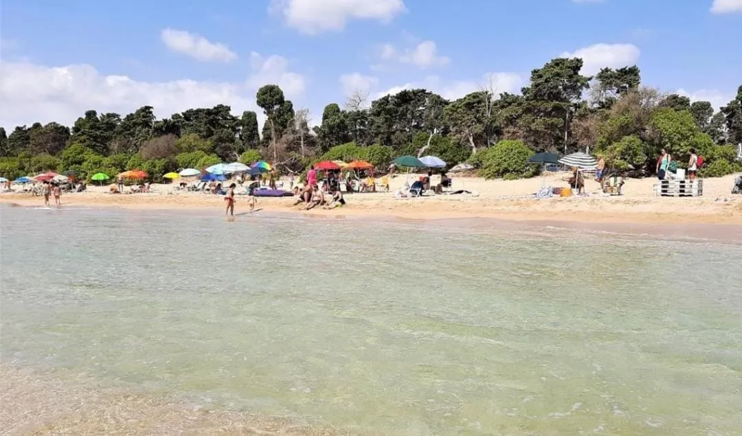 Beach in Hotel Villa Ionia