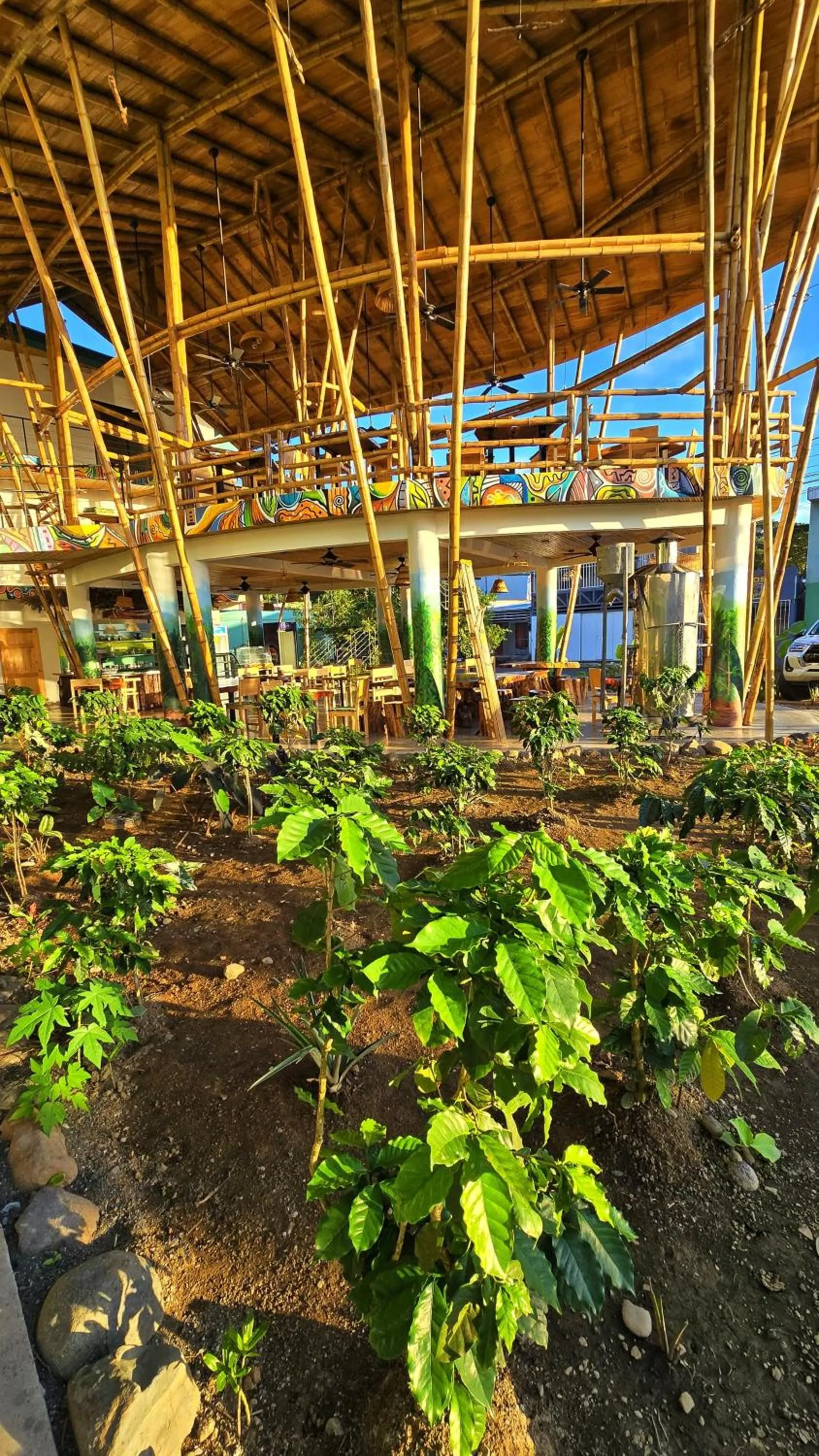 Spring in Bonding Coffee Roaster Café & Hotel