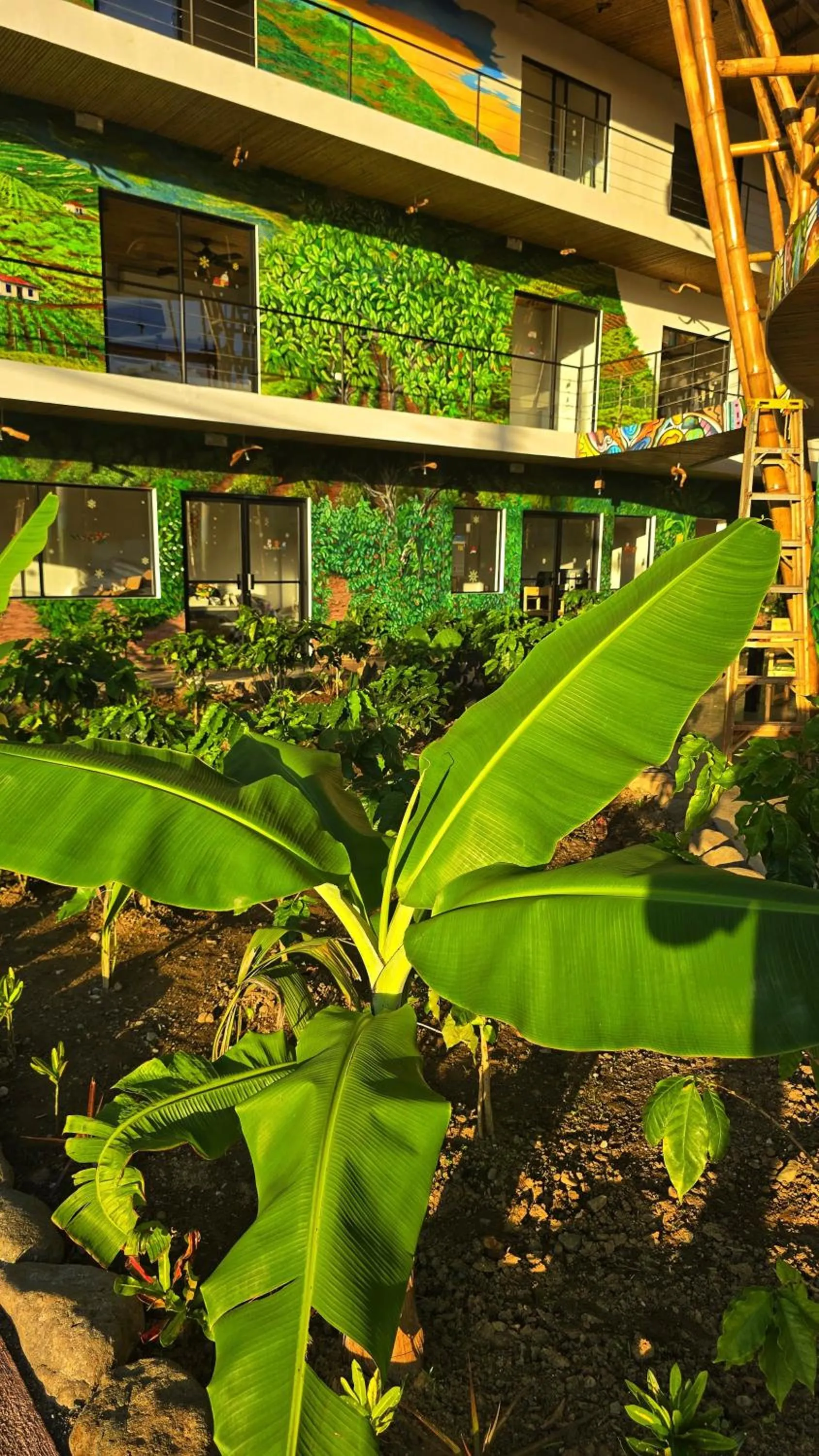 Property building in Bonding Coffee Roaster Café & Hotel