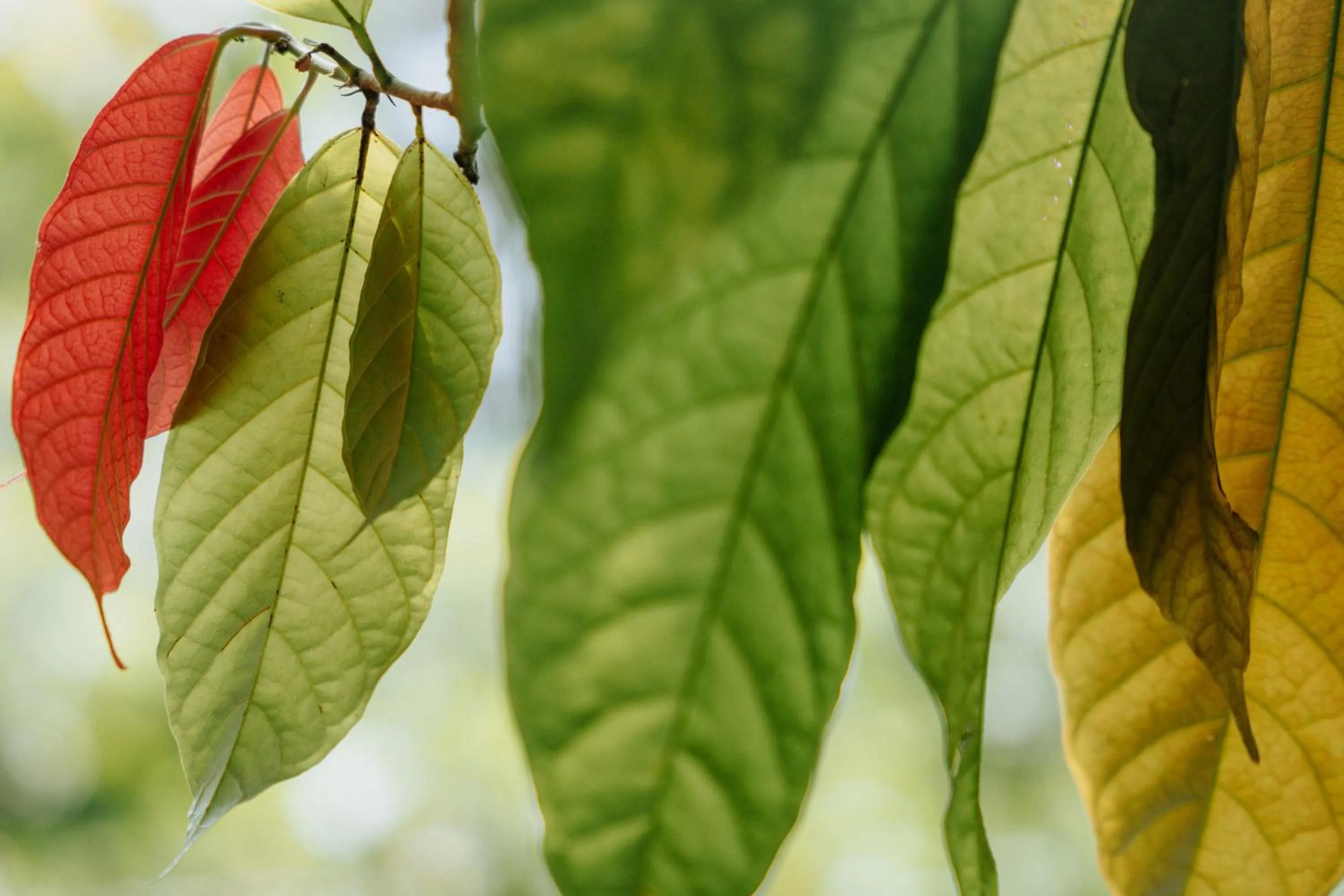 Bonding Coffee Roaster Café & Hotel