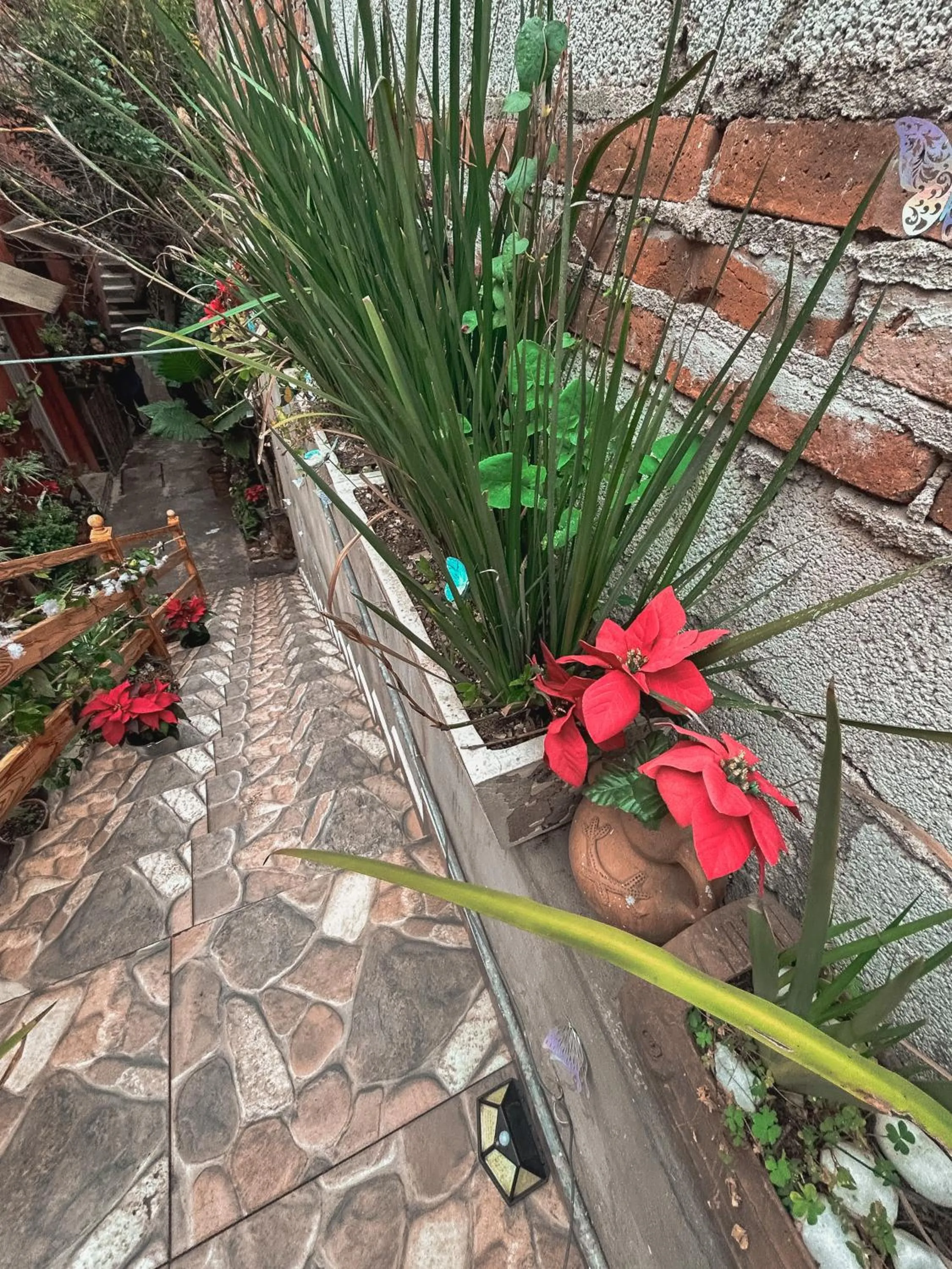 Off site in SiempreViva Hospedaje By GEstores