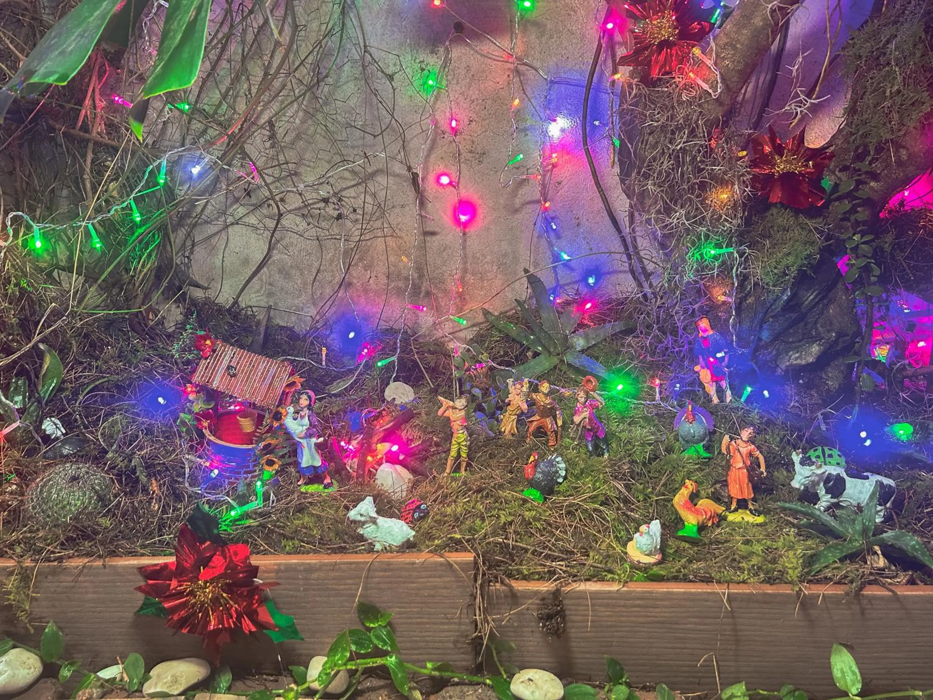 Patio in SiempreViva Hospedaje By GEstores