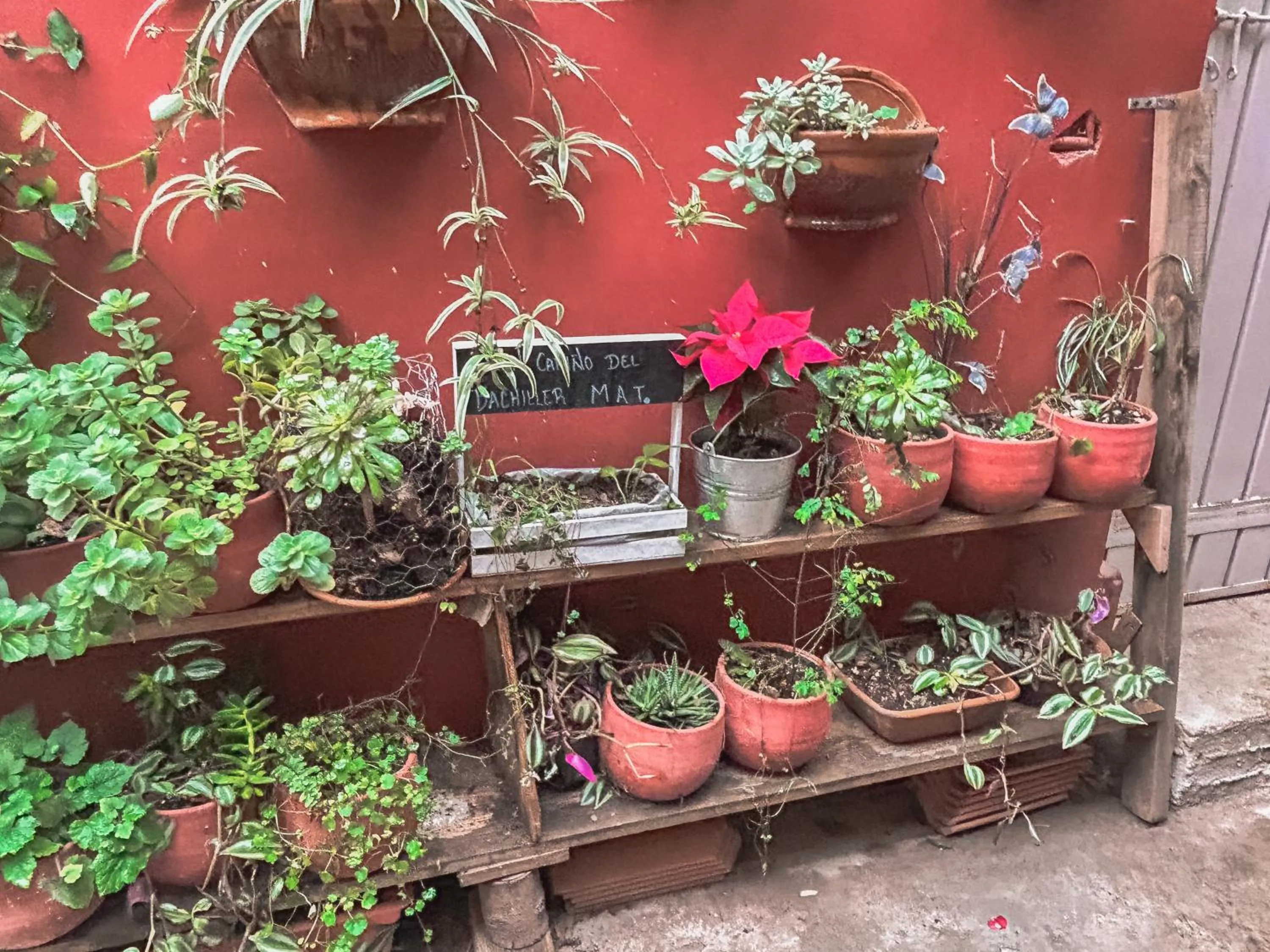 Patio in SiempreViva Hospedaje By GEstores