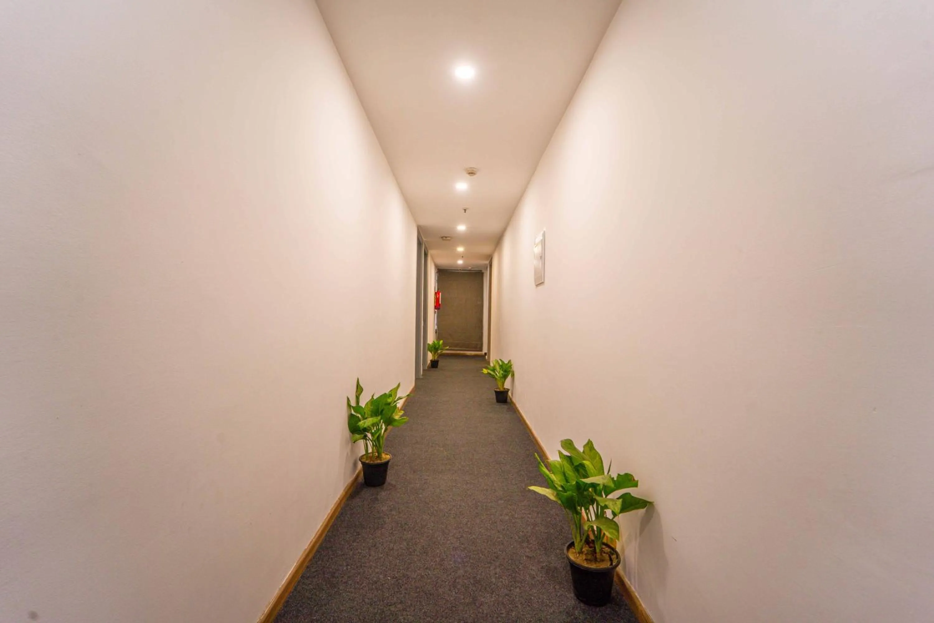 Lobby or reception in Treebo Premium Inn