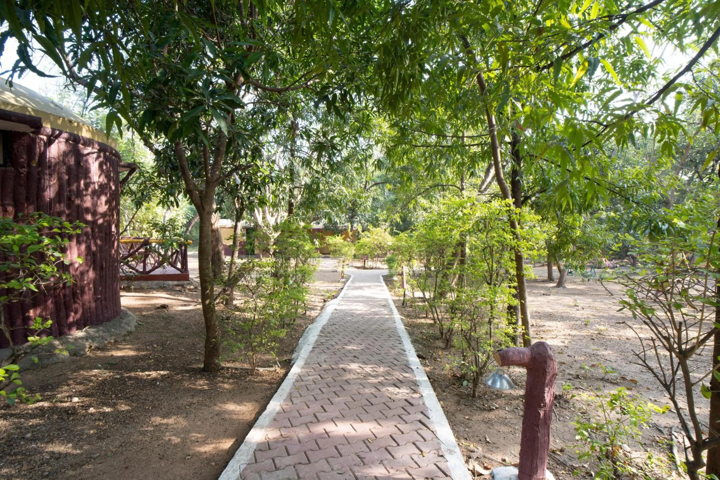 Garden in Treebo Premium Mowgli's Den, Pench