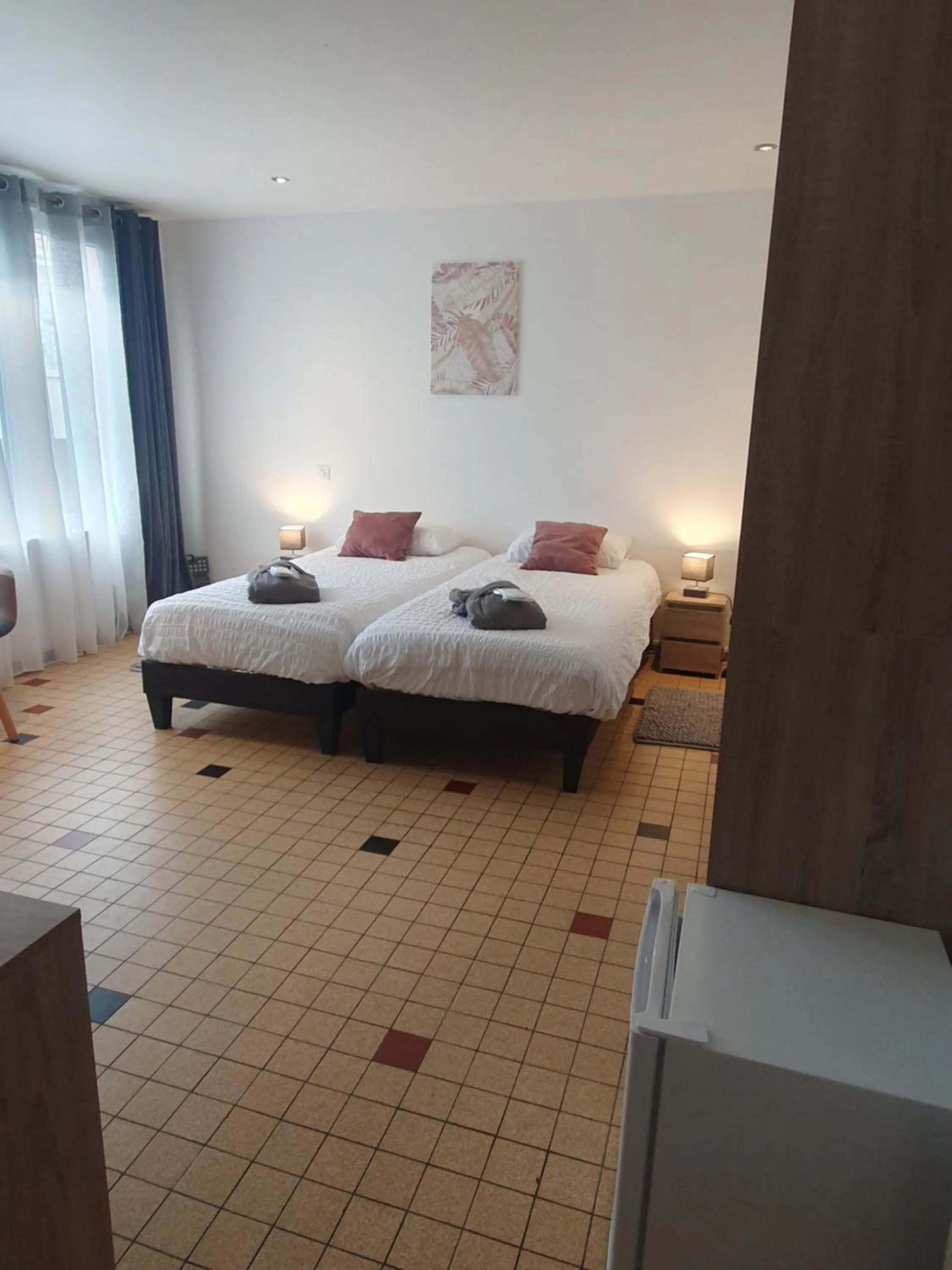 Twin Room - Disability Access in Hôtel de la promenade