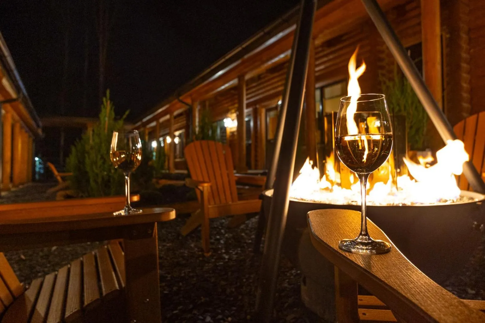 Night in The Timber at Holly Branch