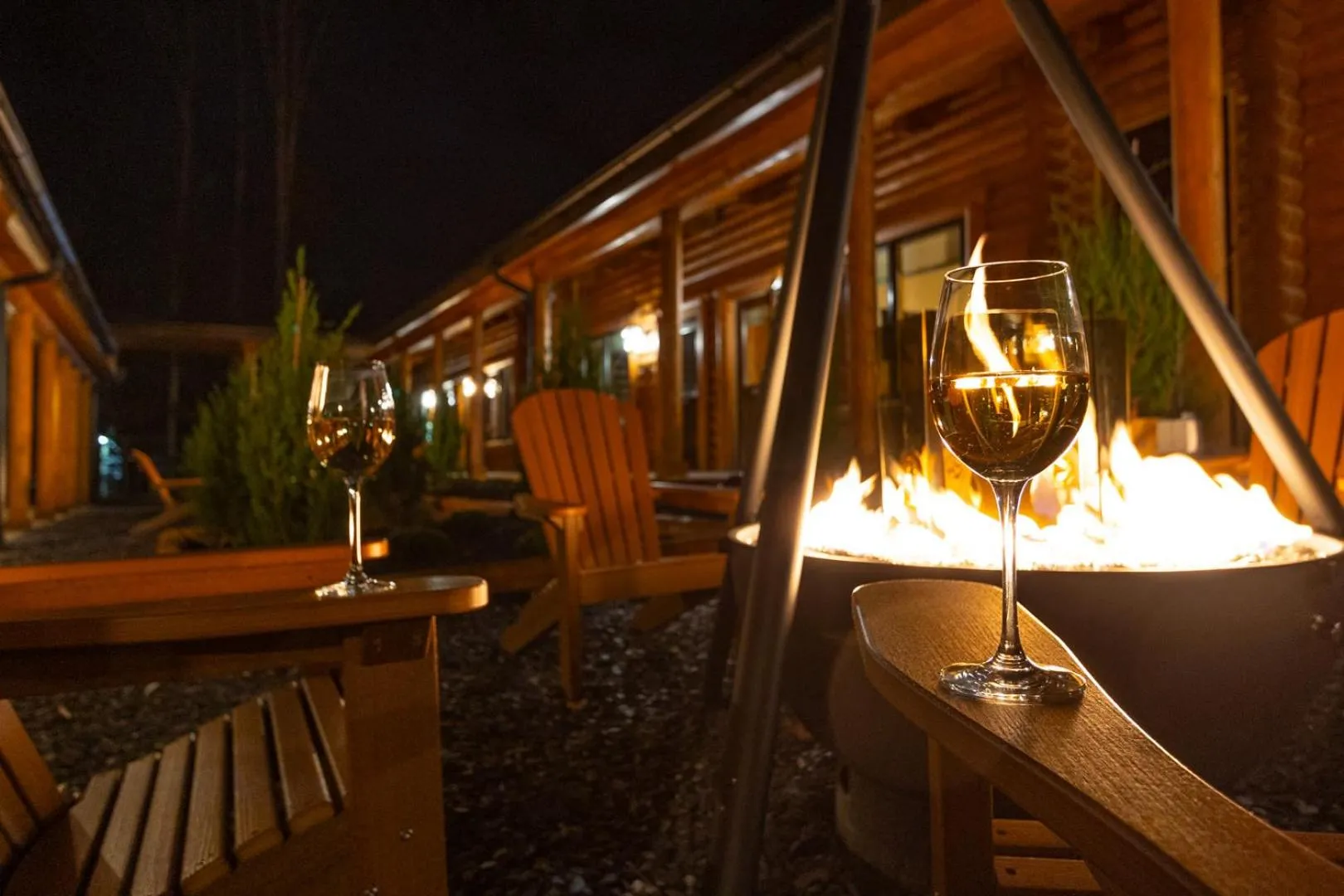 Night in The Timber at Holly Branch