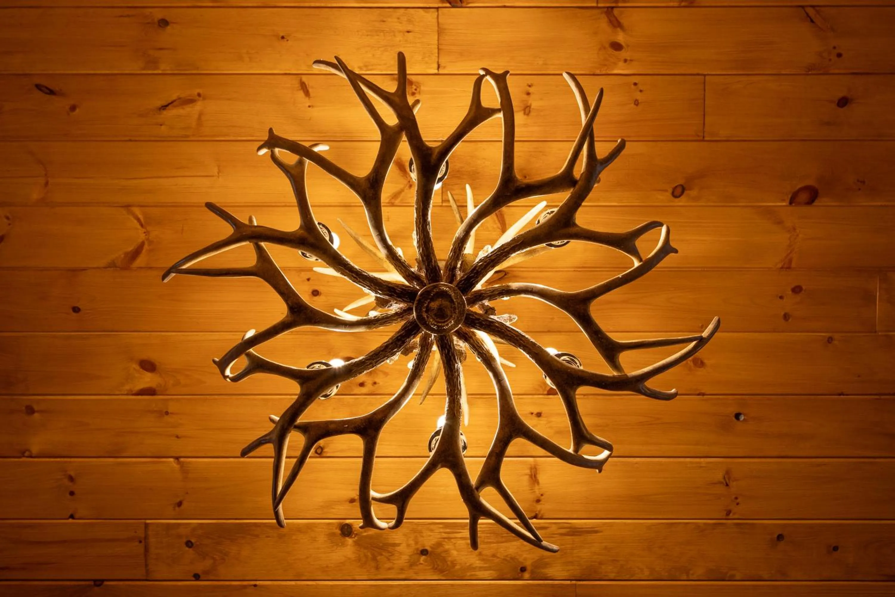 Restaurant/places to eat in The Timber at Holly Branch