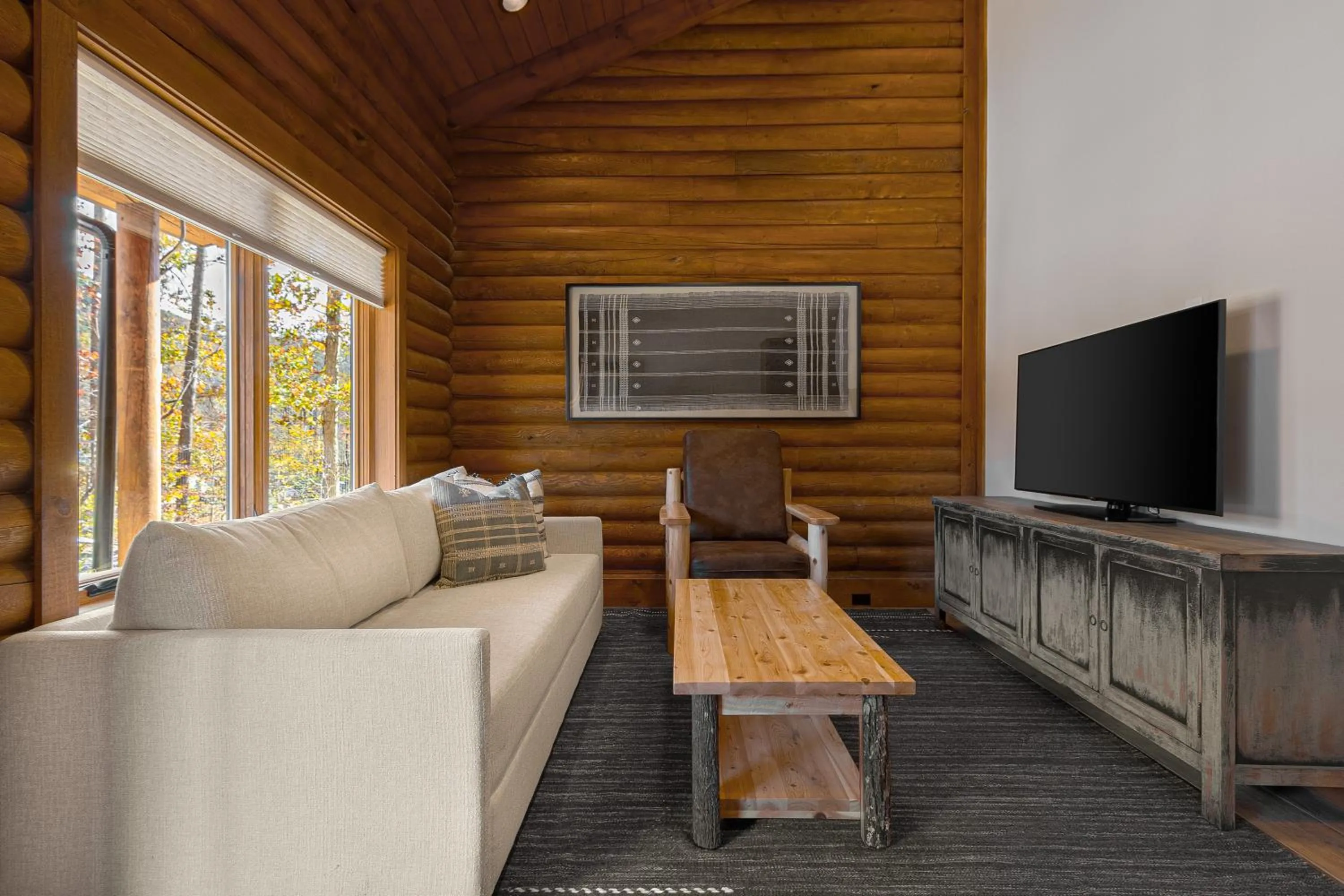 TV and multimedia in The Timber at Holly Branch