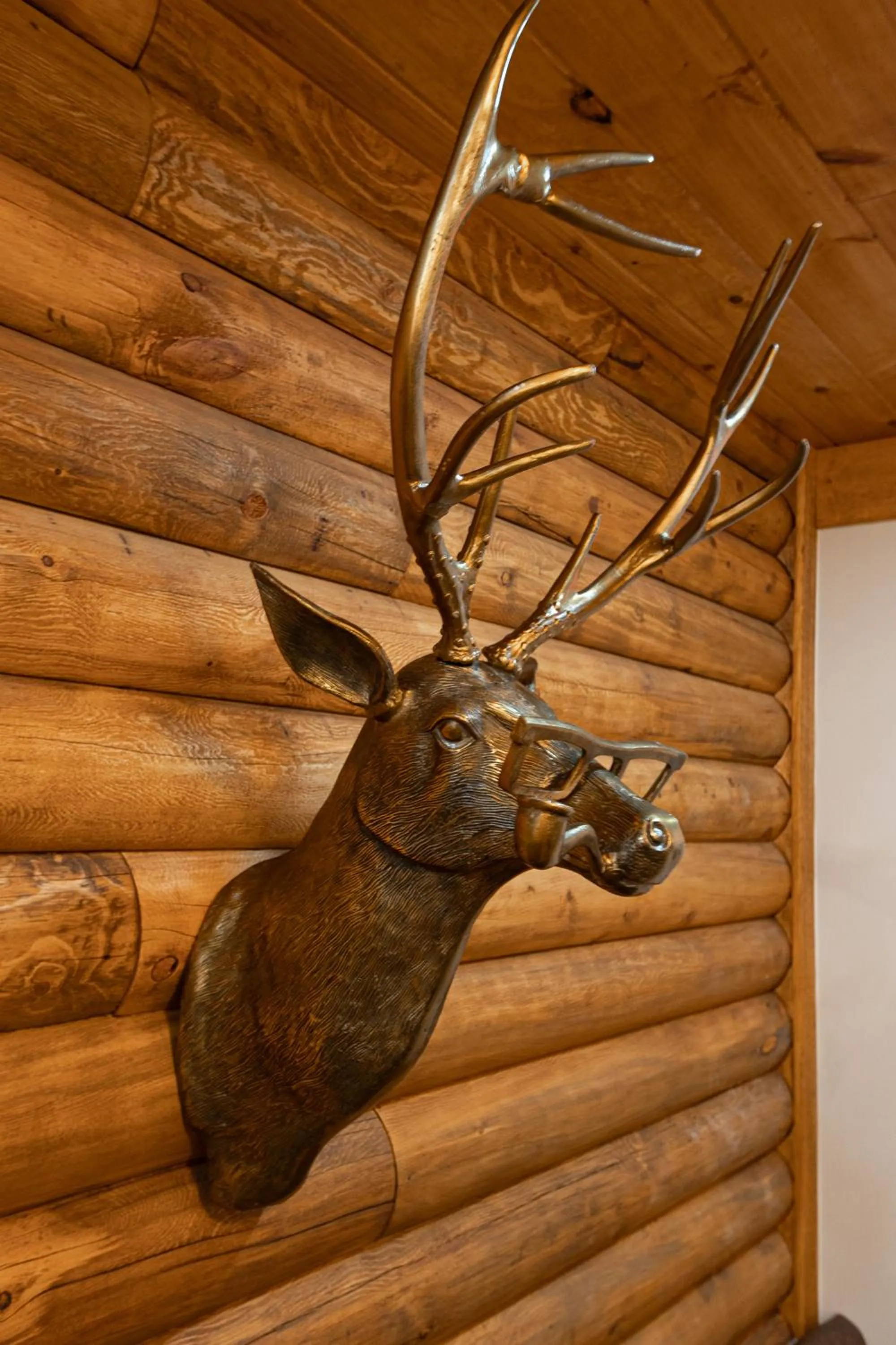 Restaurant/places to eat in The Timber at Holly Branch