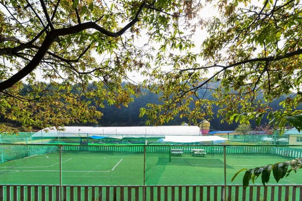 Thank you dog pet pension