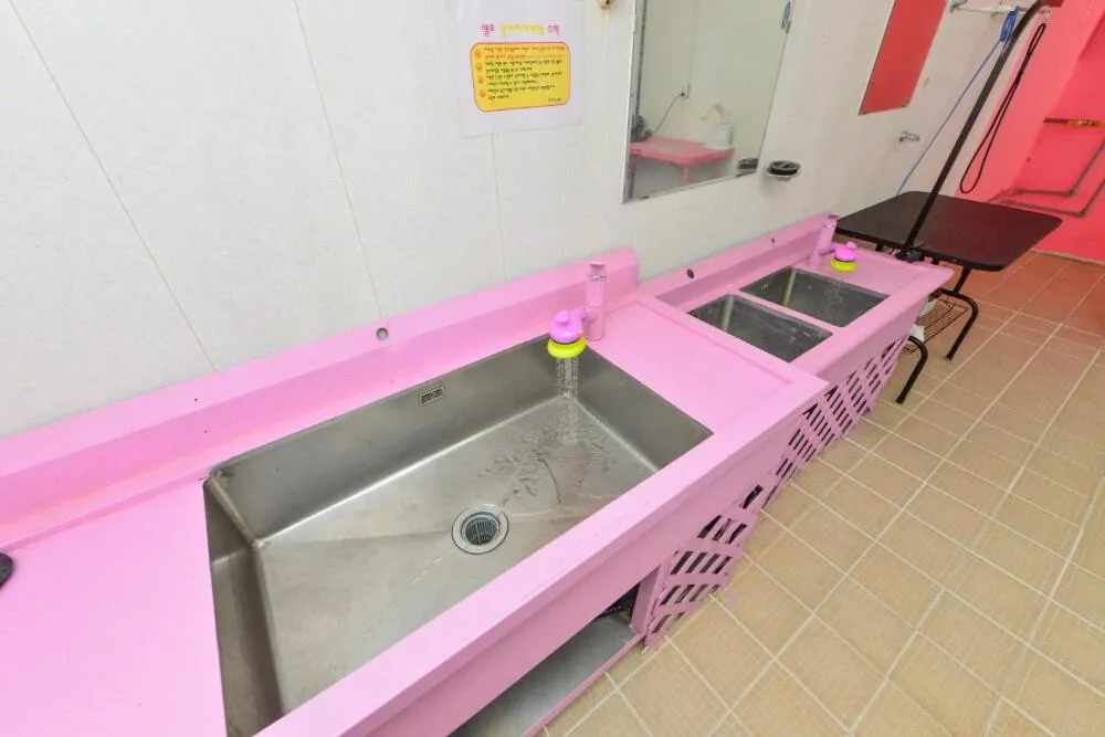 Thank you dog pet pension