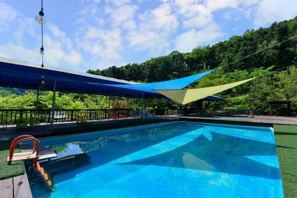 Thank you dog pet pension