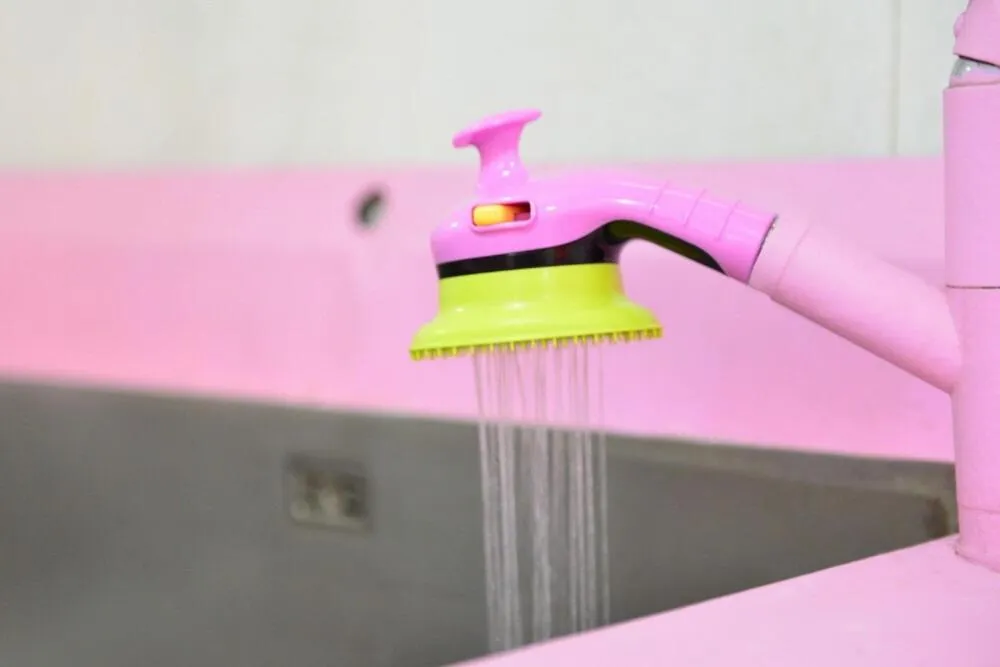 Thank you dog pet pension