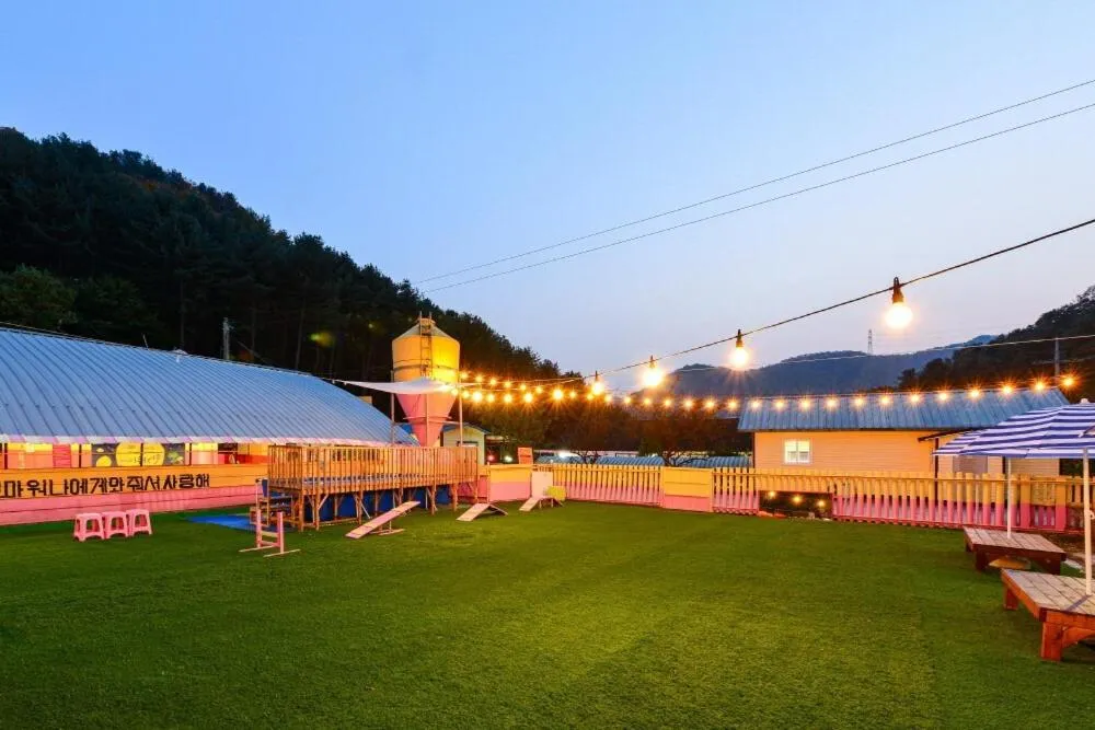 Thank you dog pet pension