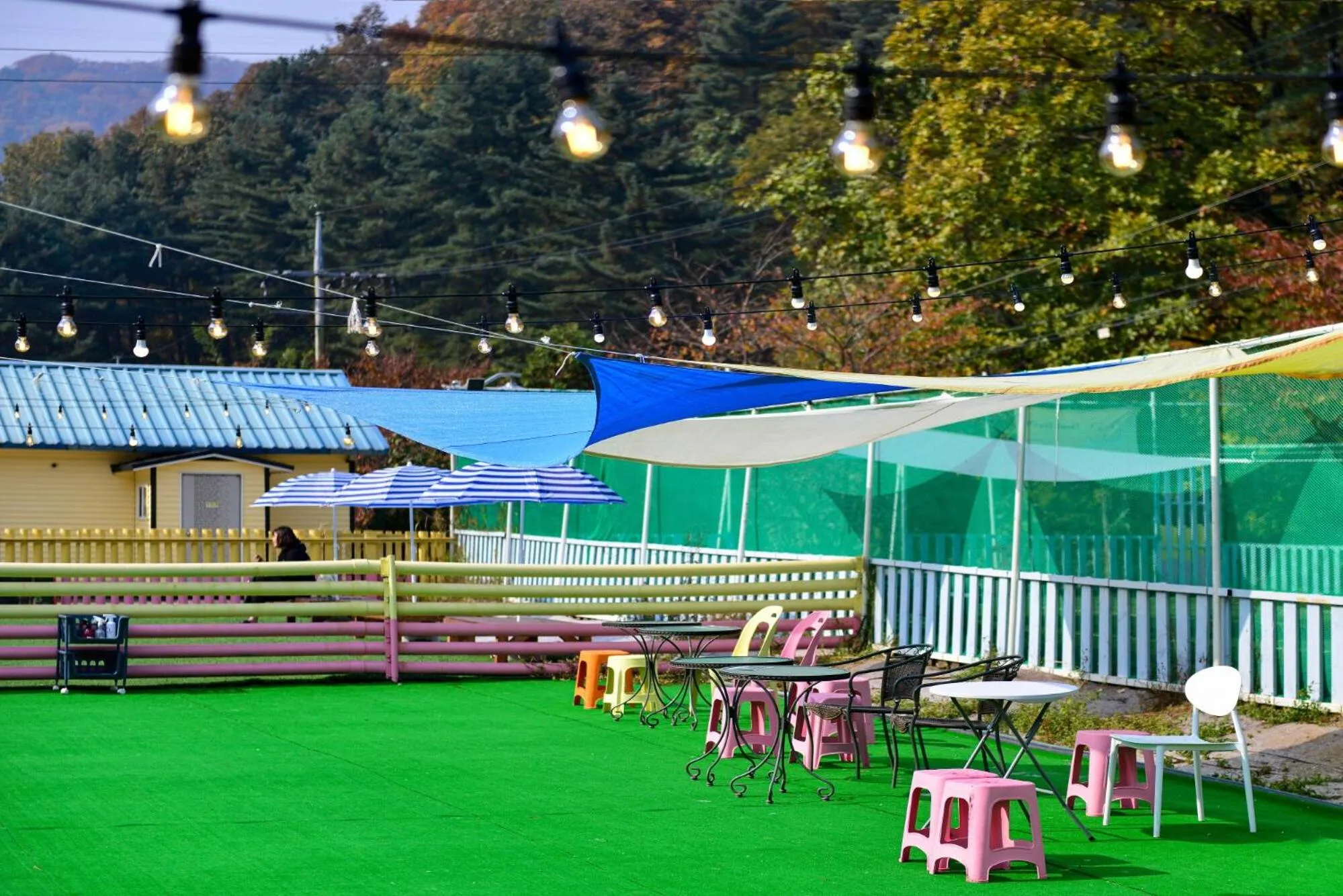 Thank you dog pet pension