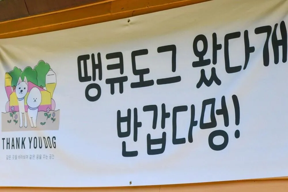 Thank you dog pet pension