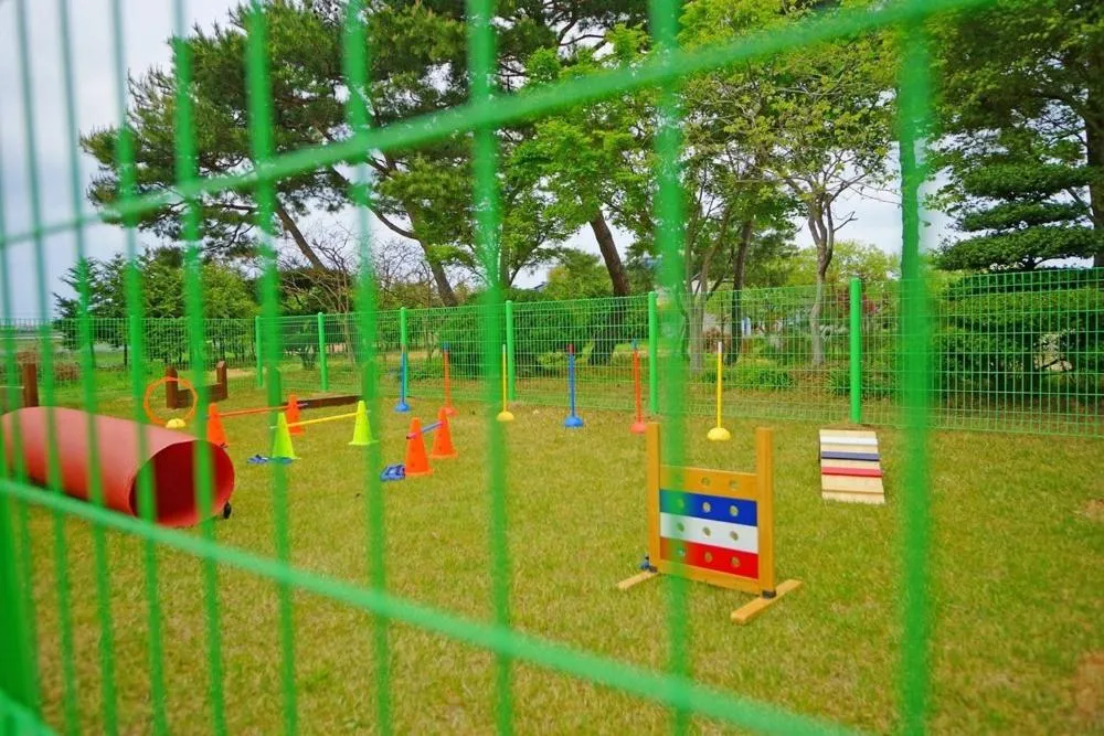 Buan Ravich pet Friendly Pension