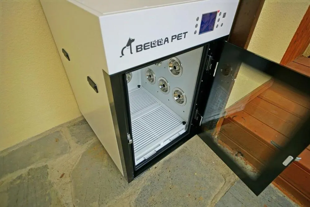 Buan Ravich pet Friendly Pension