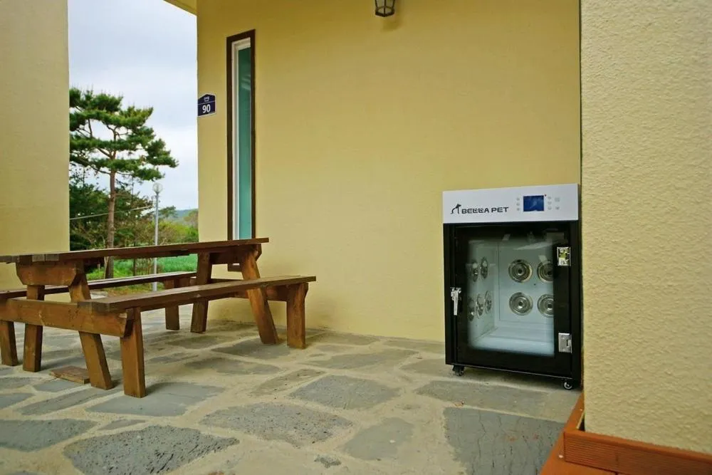 Buan Ravich pet Friendly Pension