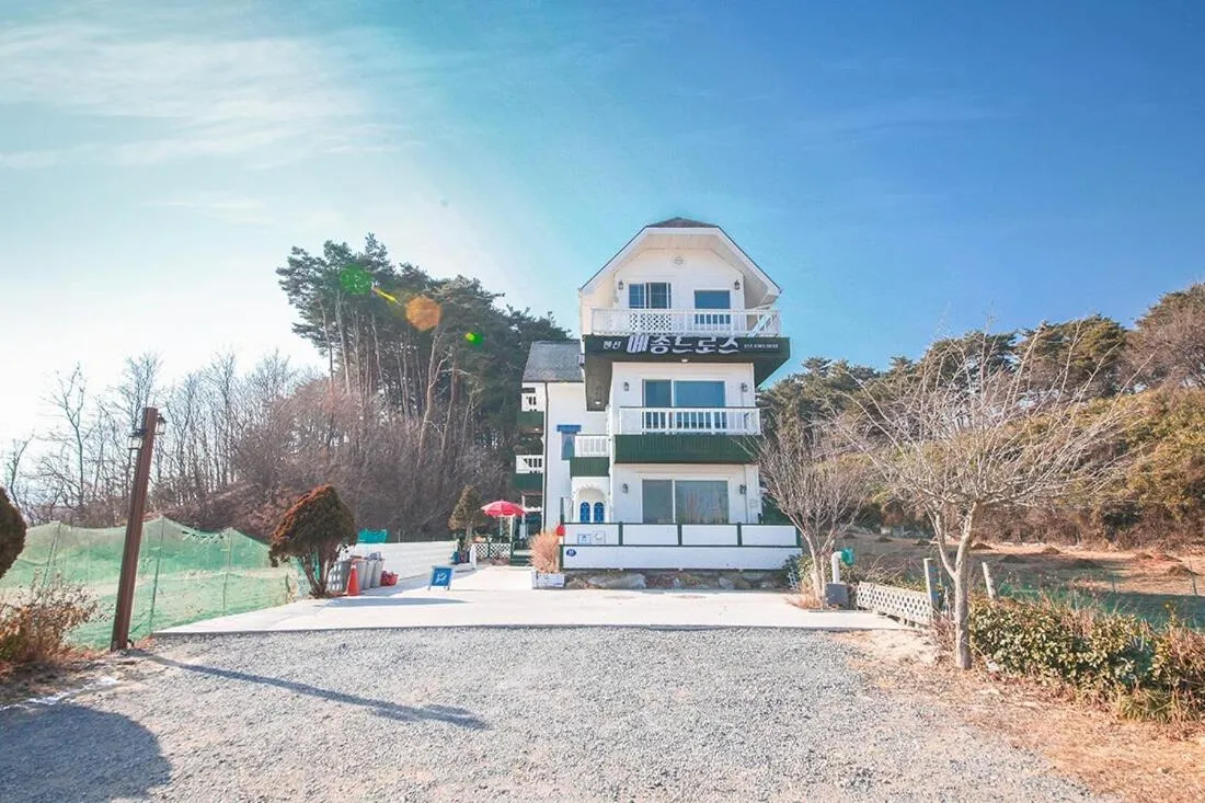 Gangneung Maison de Rose