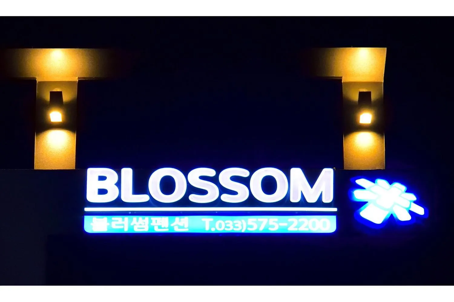 Samcheok blossom pension